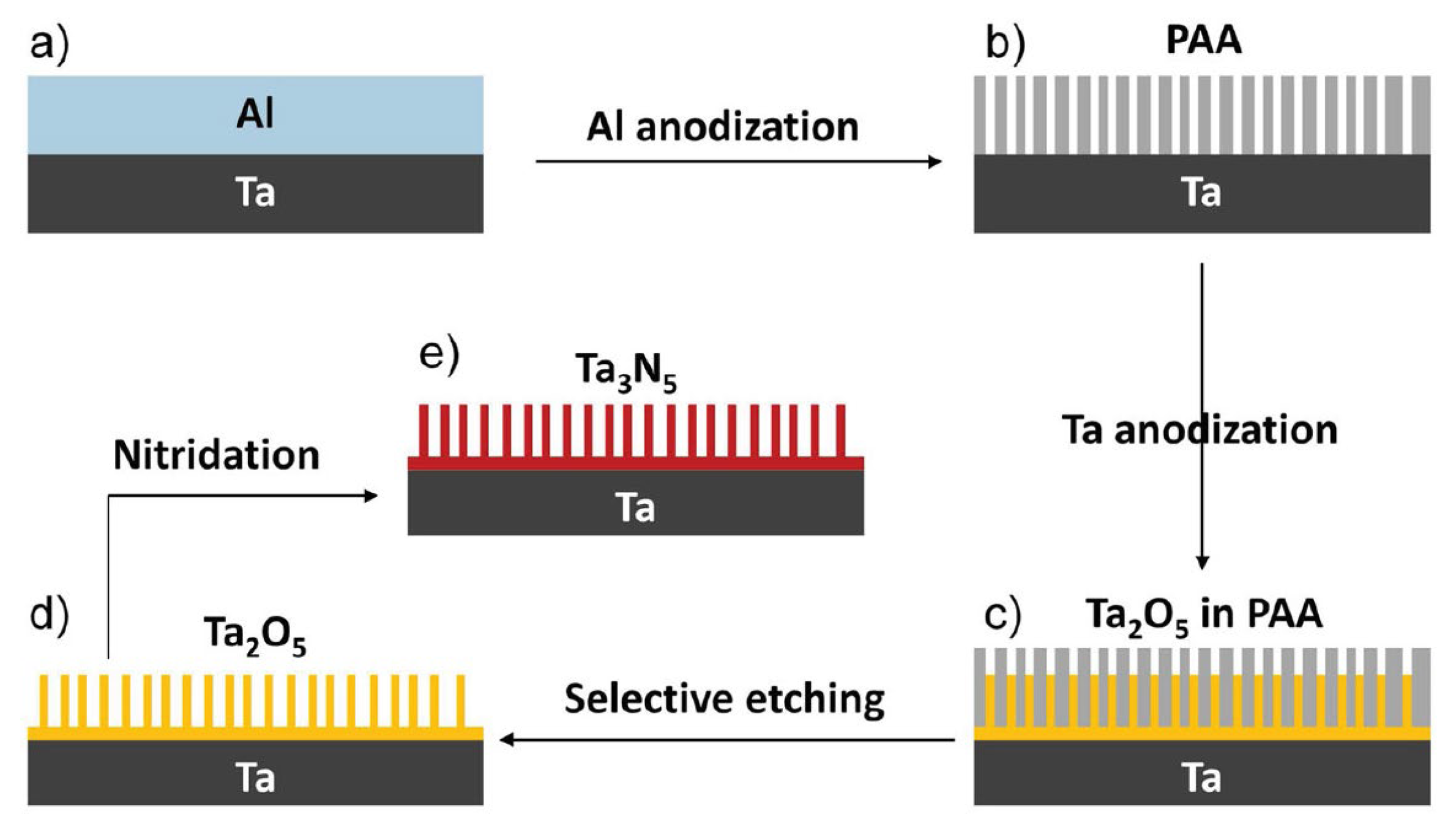 Catalysts 13 00728 g007