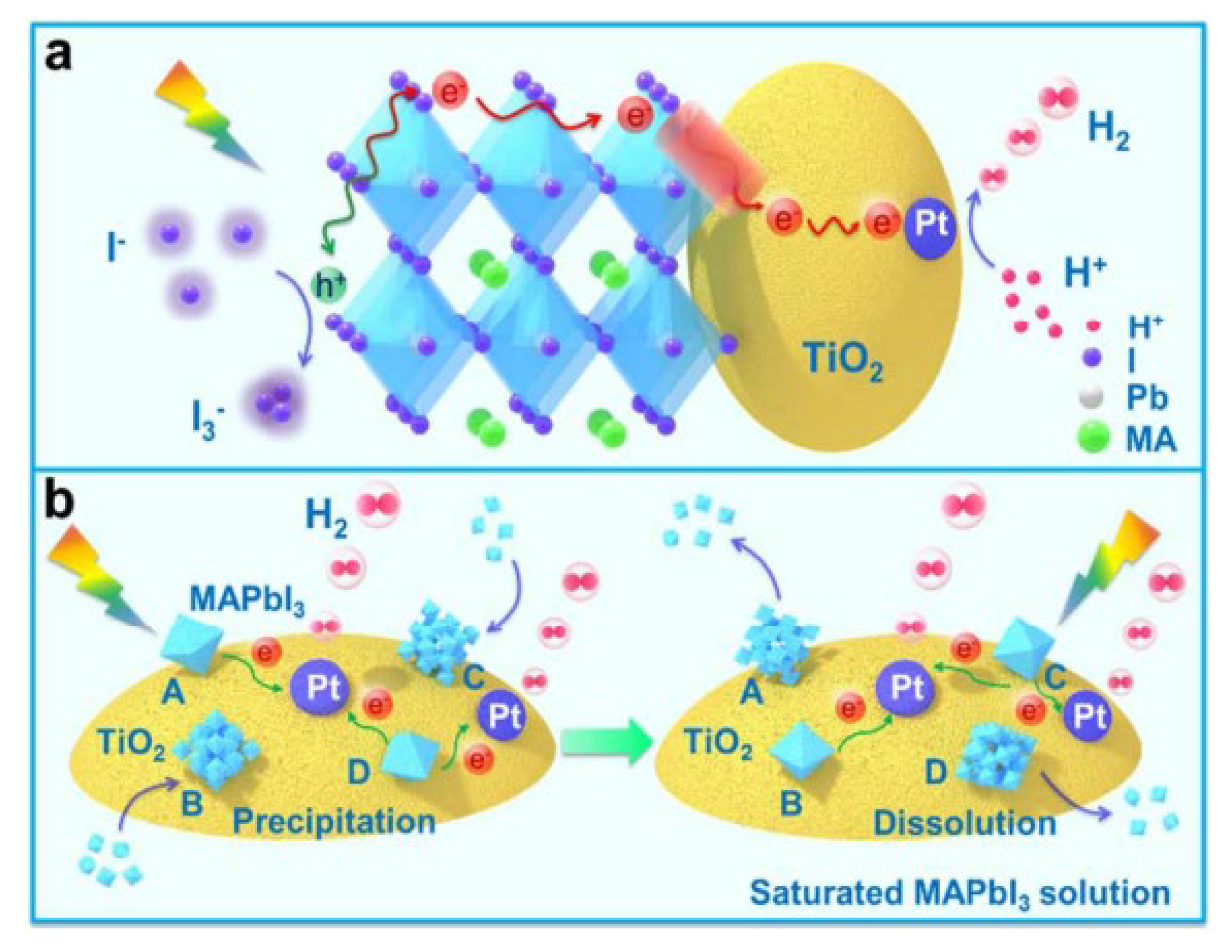Catalysts 13 00728 g014