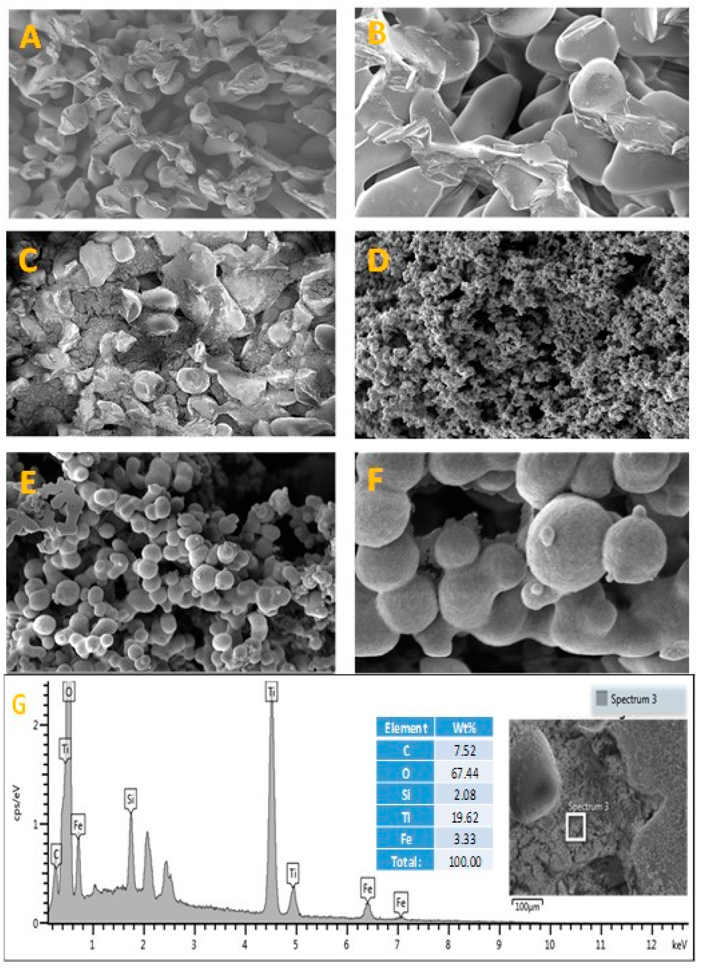 Catalysts 13 00729 g002