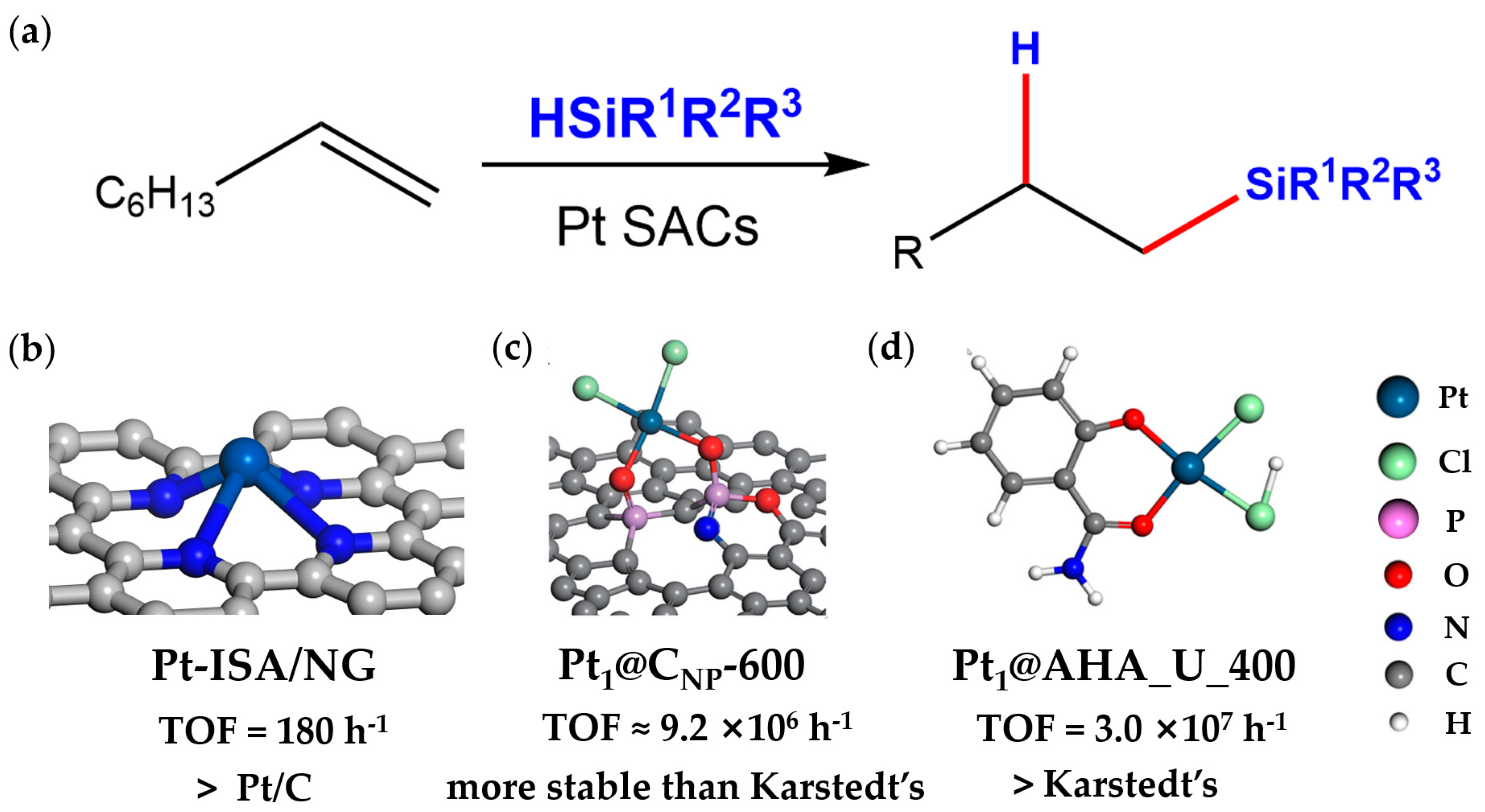 Catalysts 13 00730 g001
