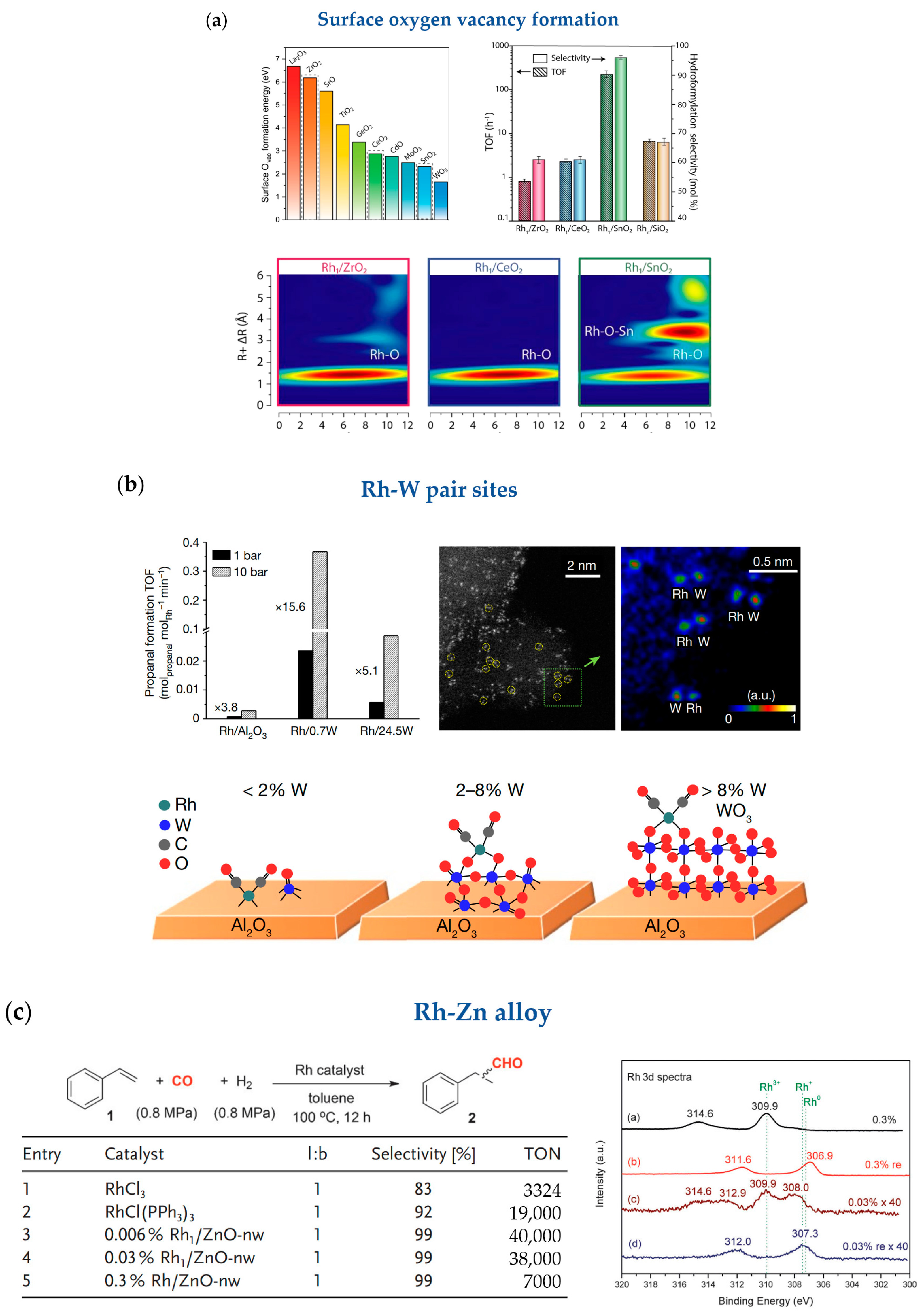Catalysts 13 00730 g002