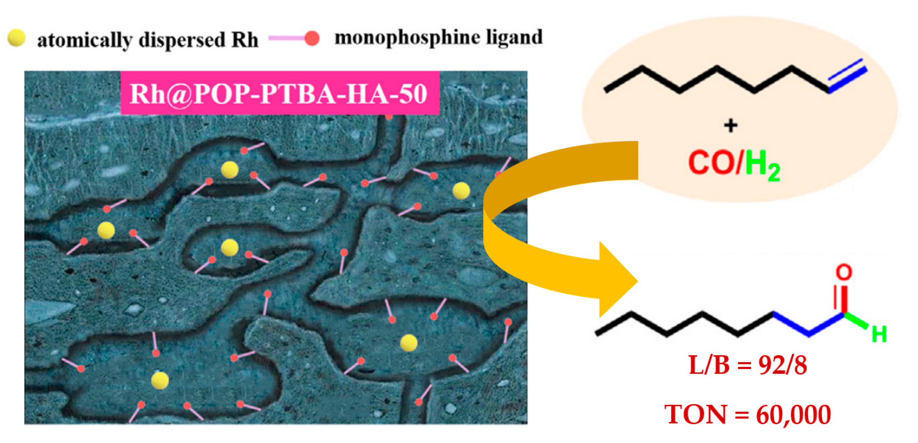 Catalysts 13 00730 g003