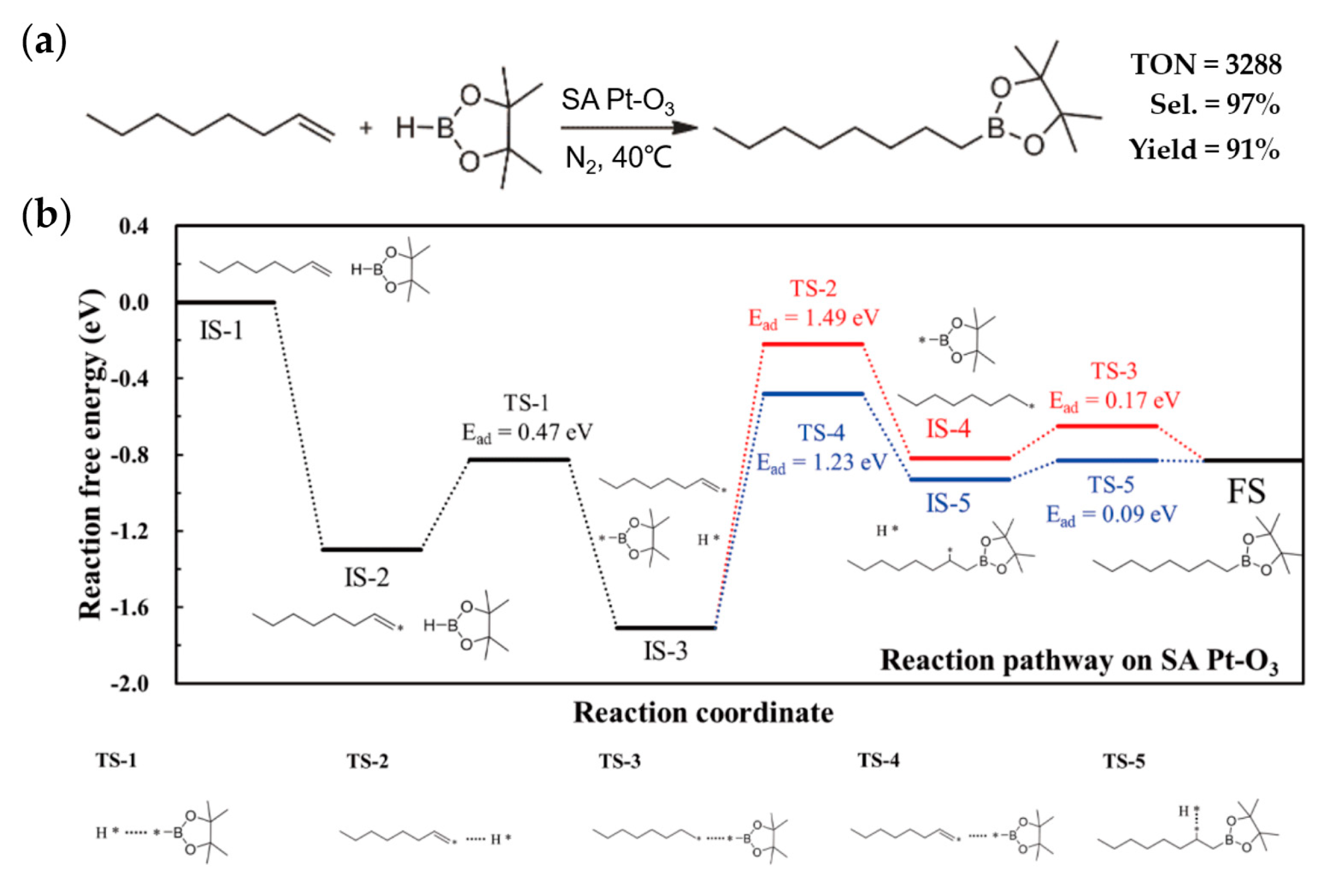 Catalysts 13 00730 g004