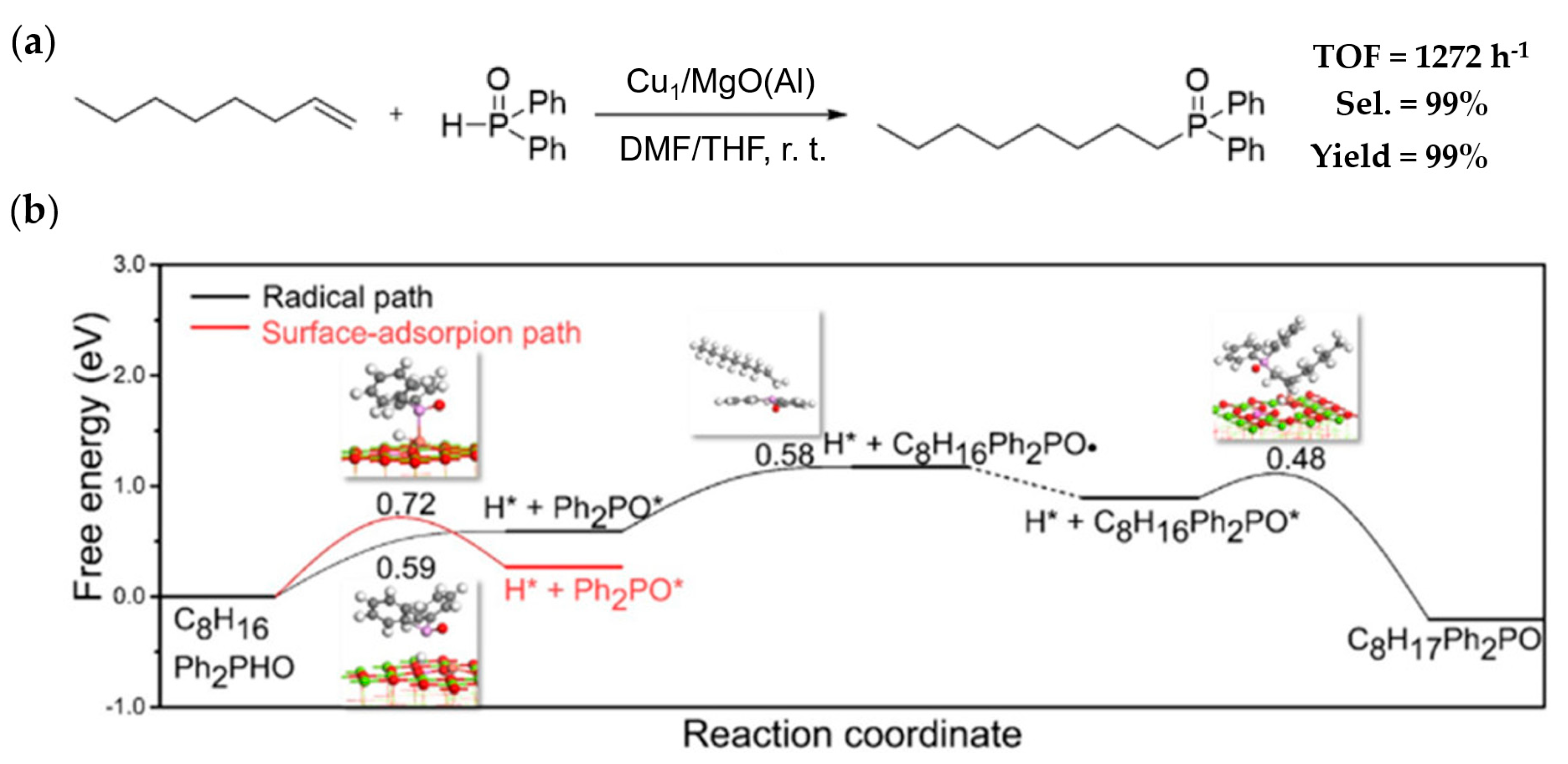 Catalysts 13 00730 g005