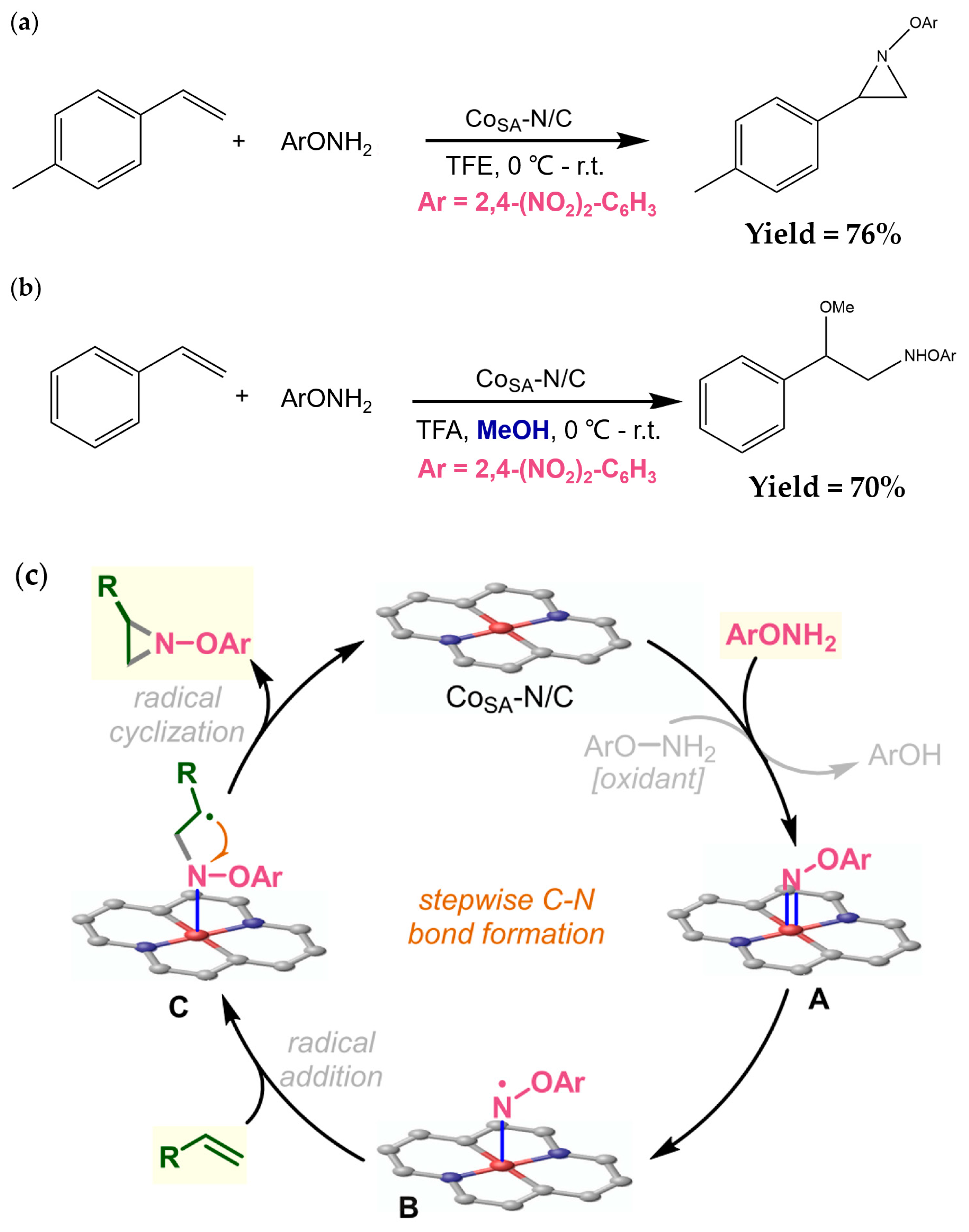 Catalysts 13 00730 g007