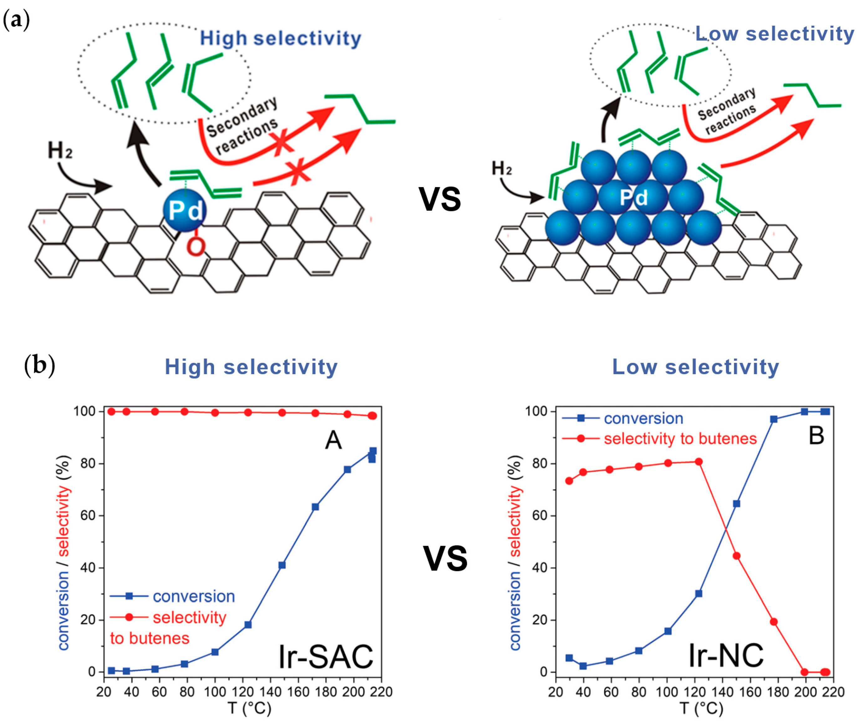 Catalysts 13 00730 g008