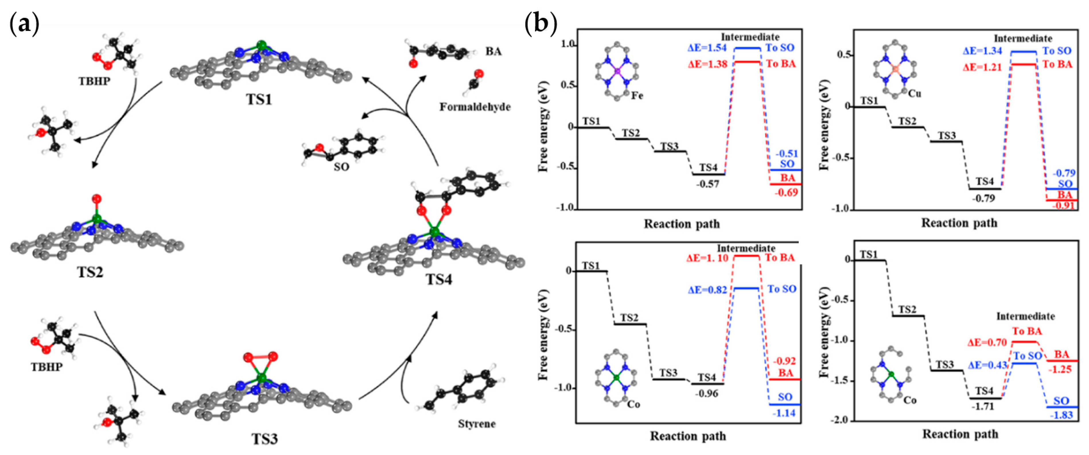 Catalysts 13 00730 g010