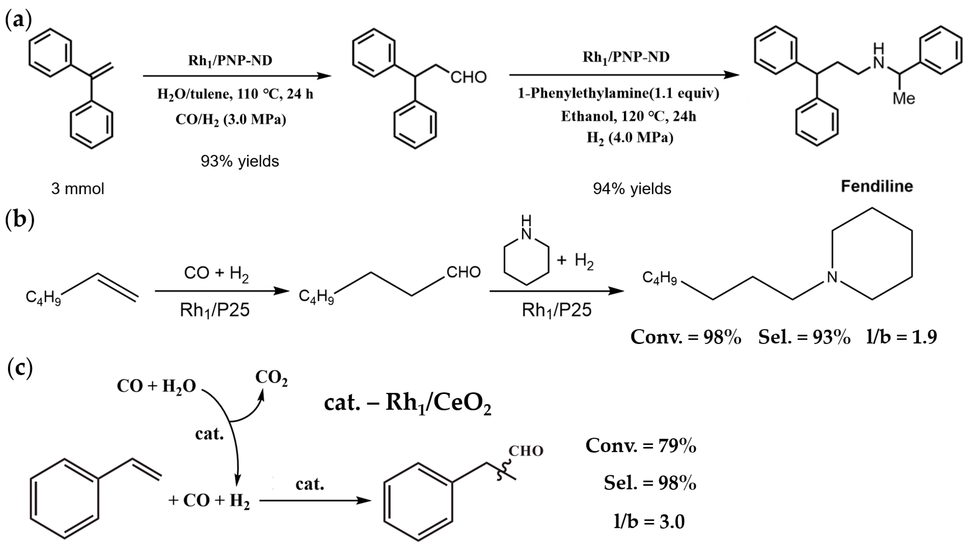 Catalysts 13 00730 g011