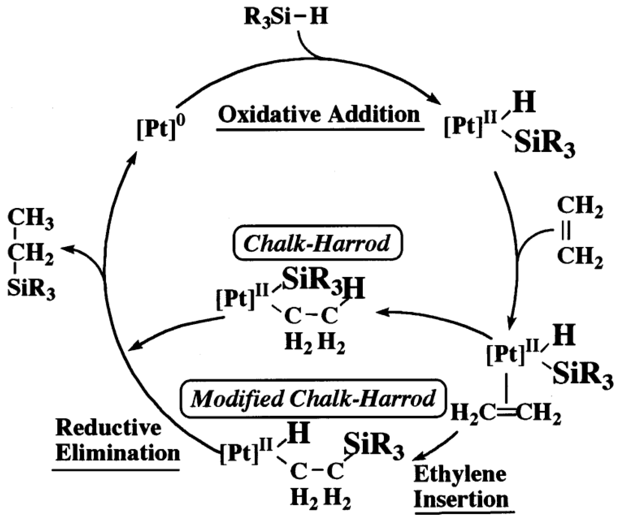 Catalysts 13 00730 sch001