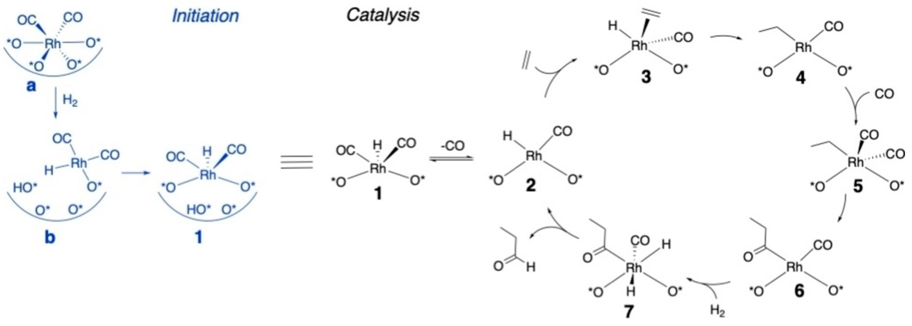 Catalysts 13 00730 sch002
