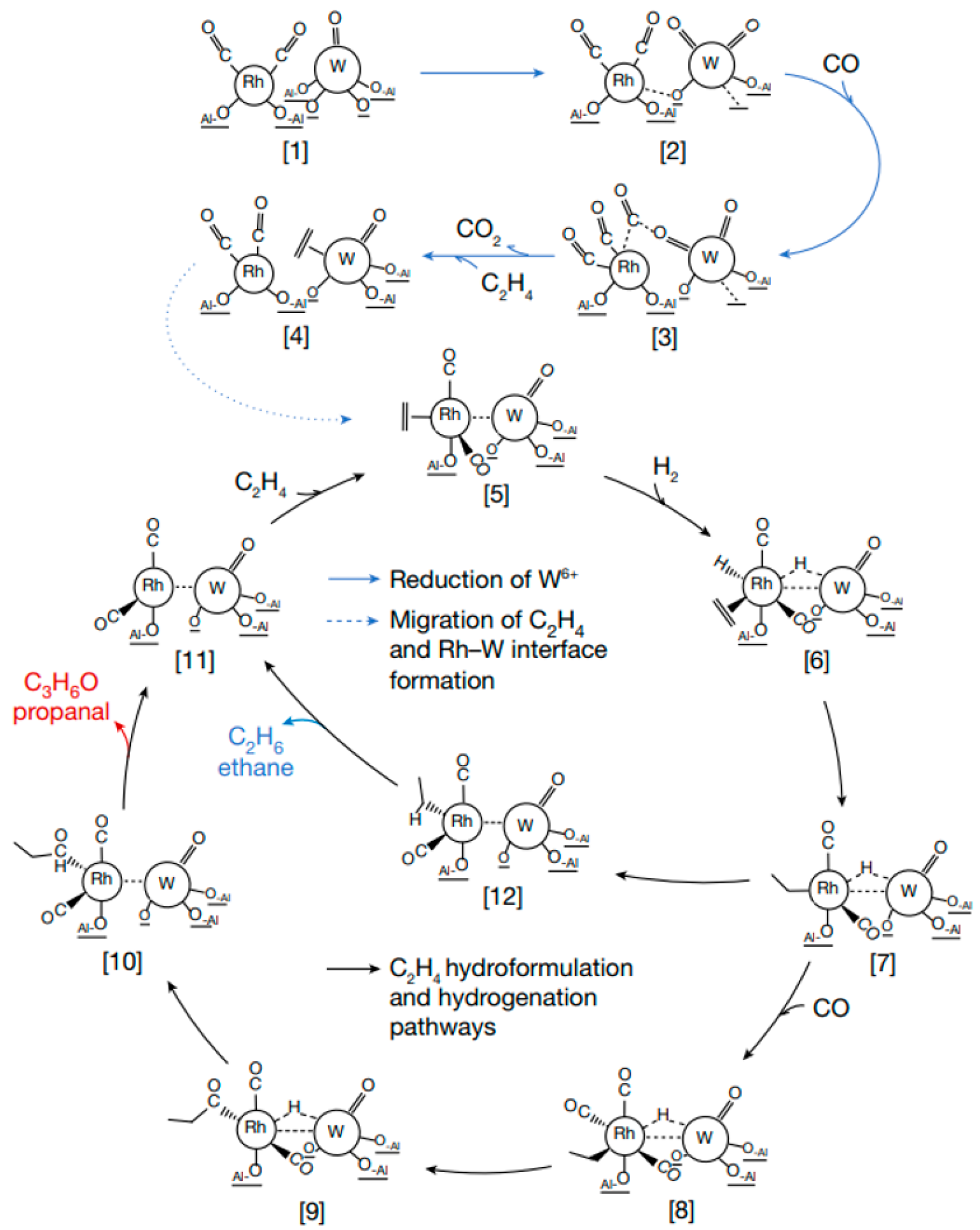 Catalysts 13 00730 sch003
