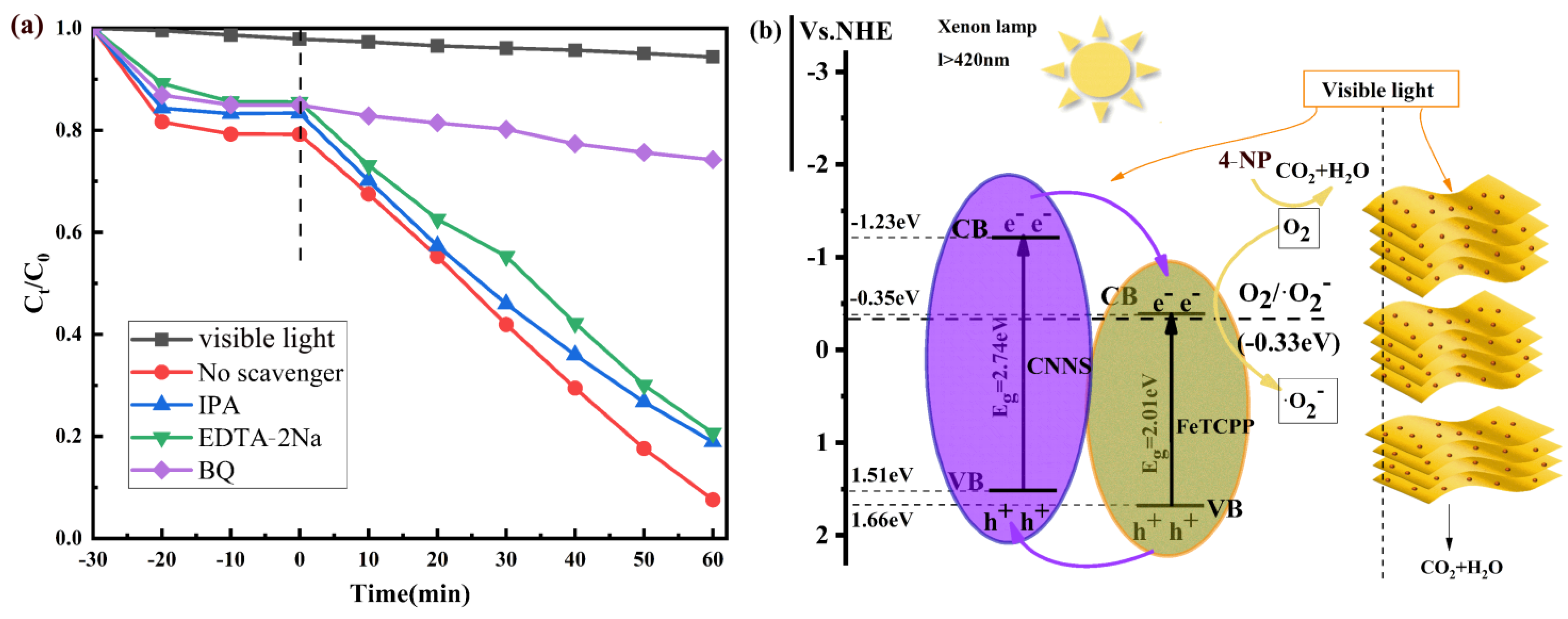 Catalysts 13 00732 g010