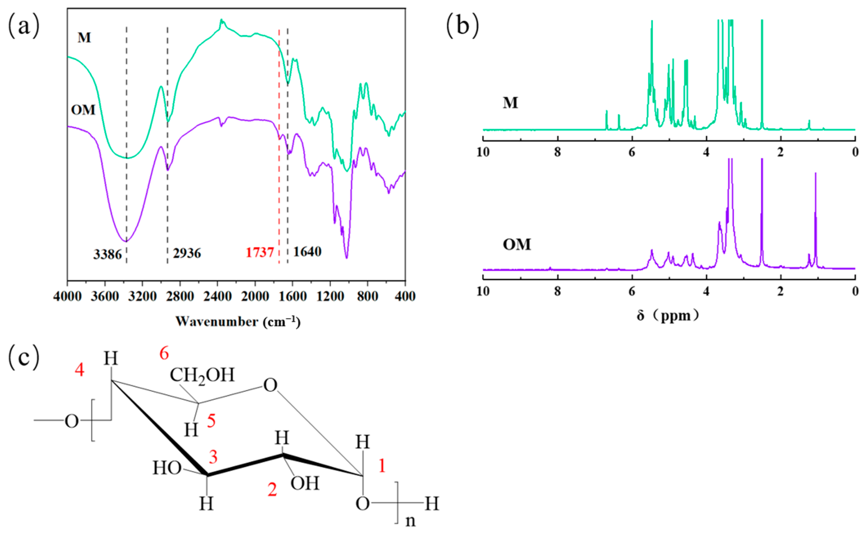 Catalysts 13 00733 g001