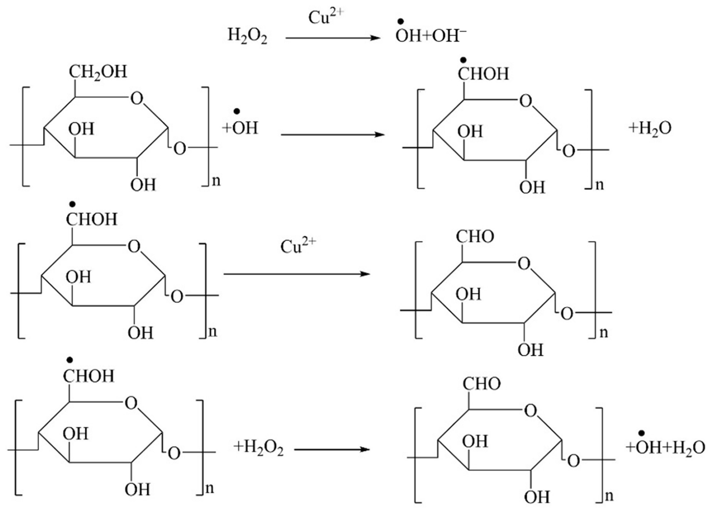 Catalysts 13 00733 g003