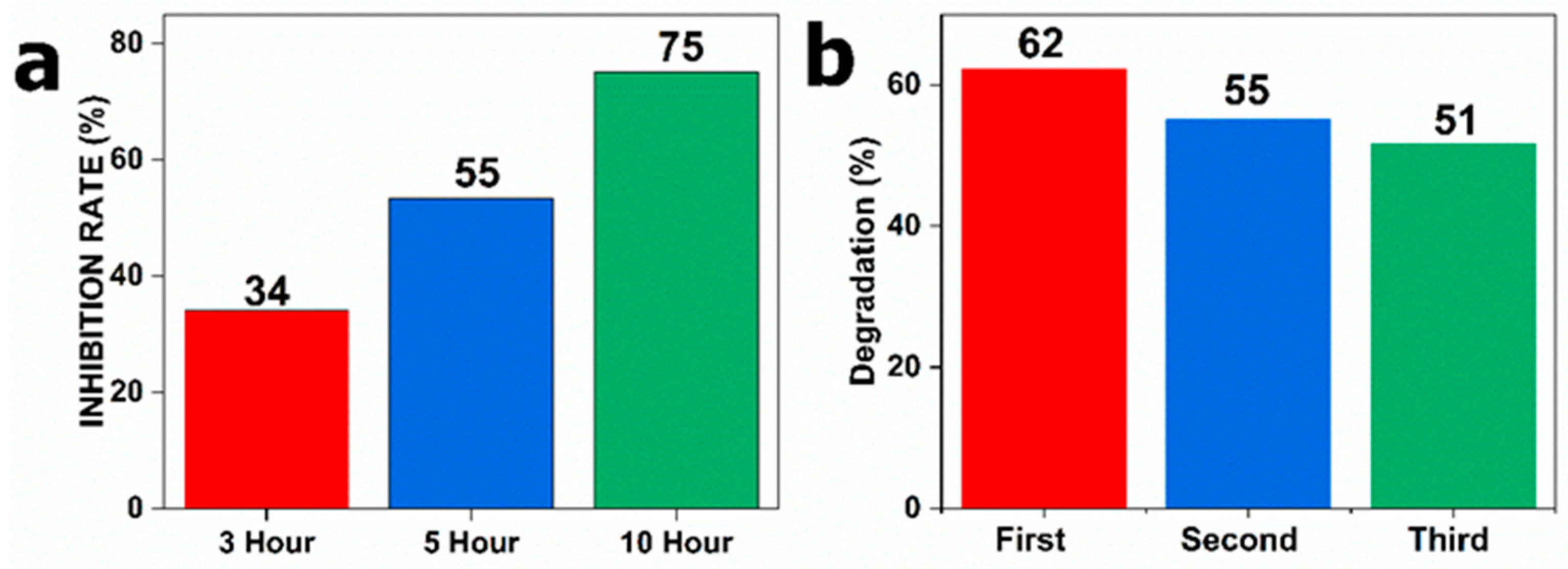 Catalysts 13 00735 g014