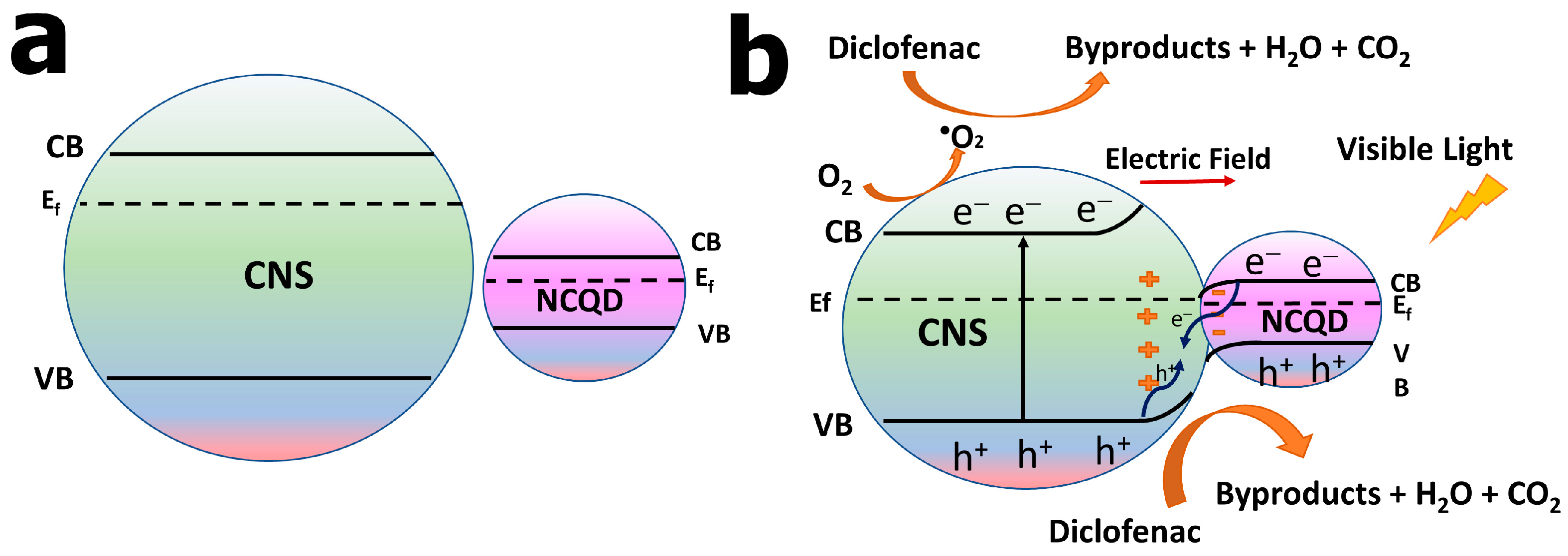 Catalysts 13 00735 sch001