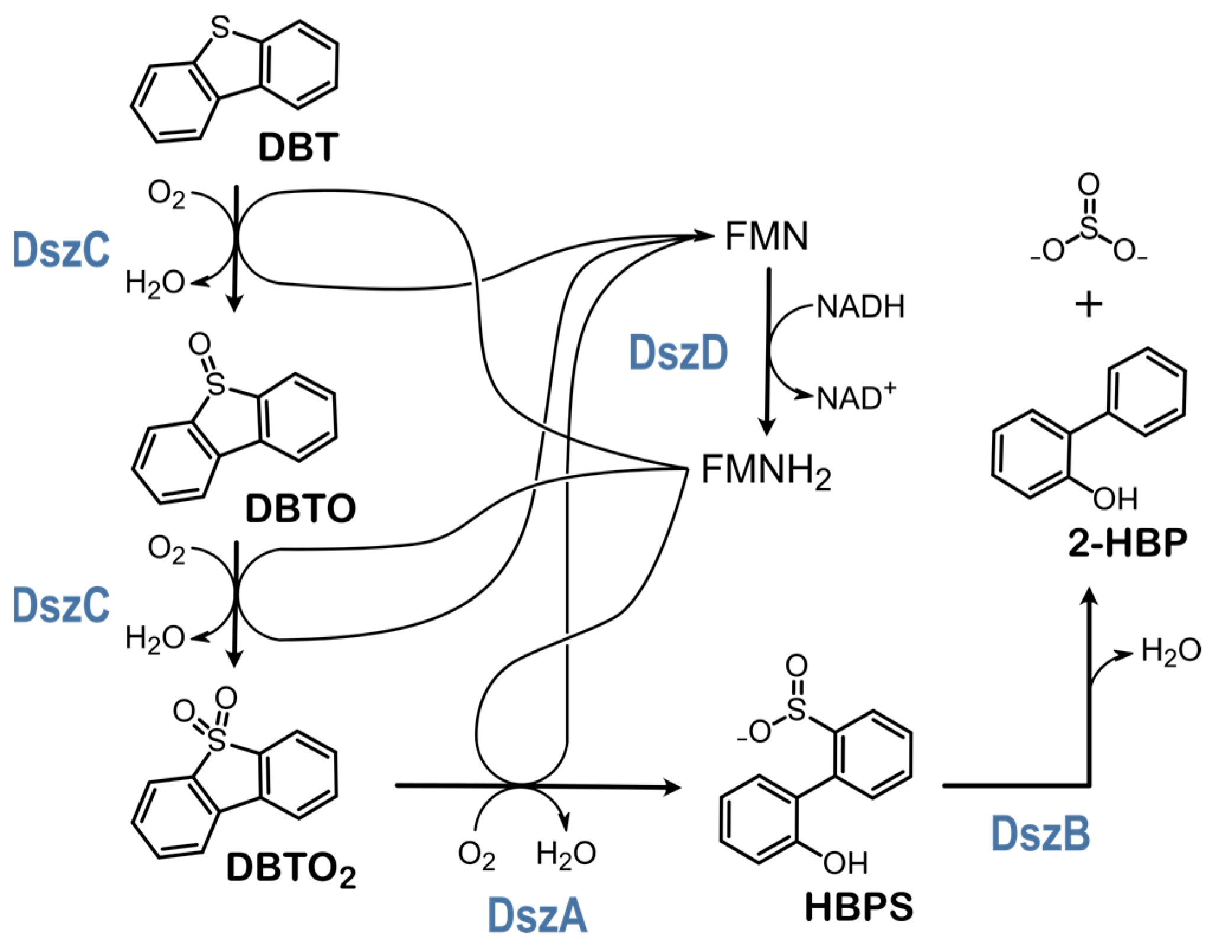 Catalysts 13 00736 g001 Catalysts 13 00736 g001