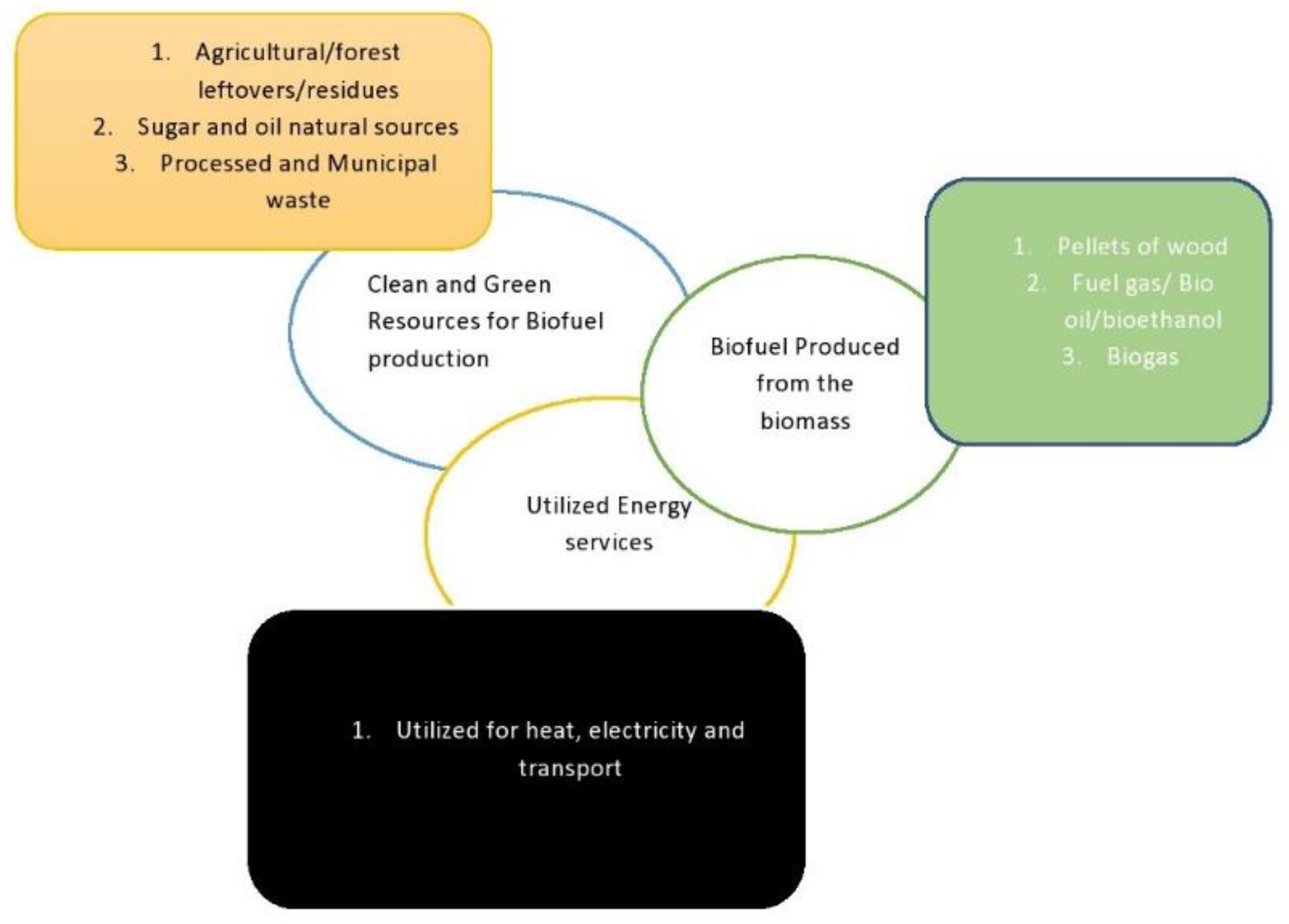 Catalysts 13 00740 g002