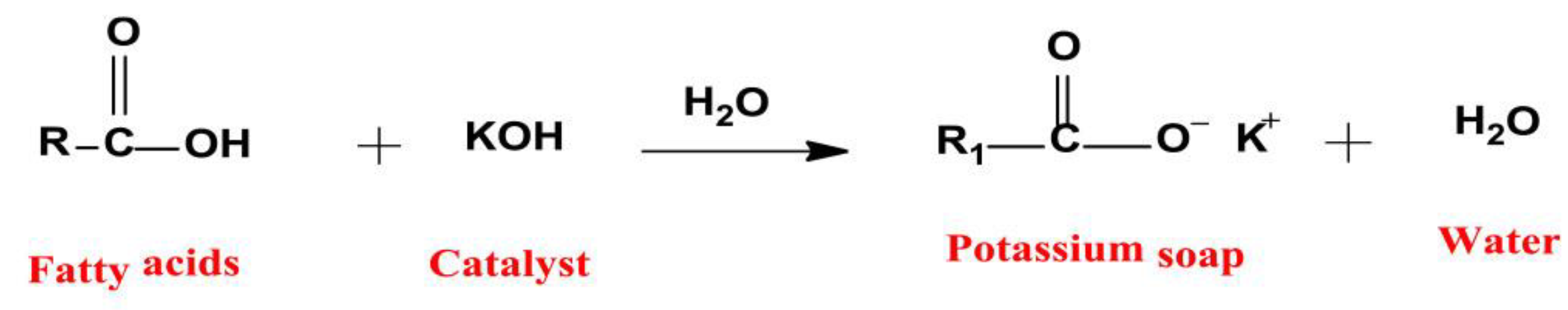 Catalysts 13 00740 g004
