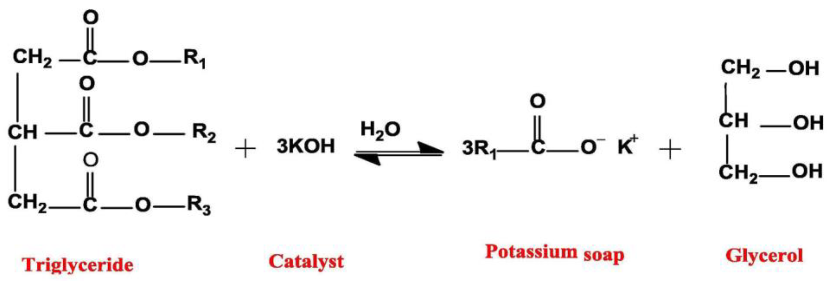 Catalysts 13 00740 g005
