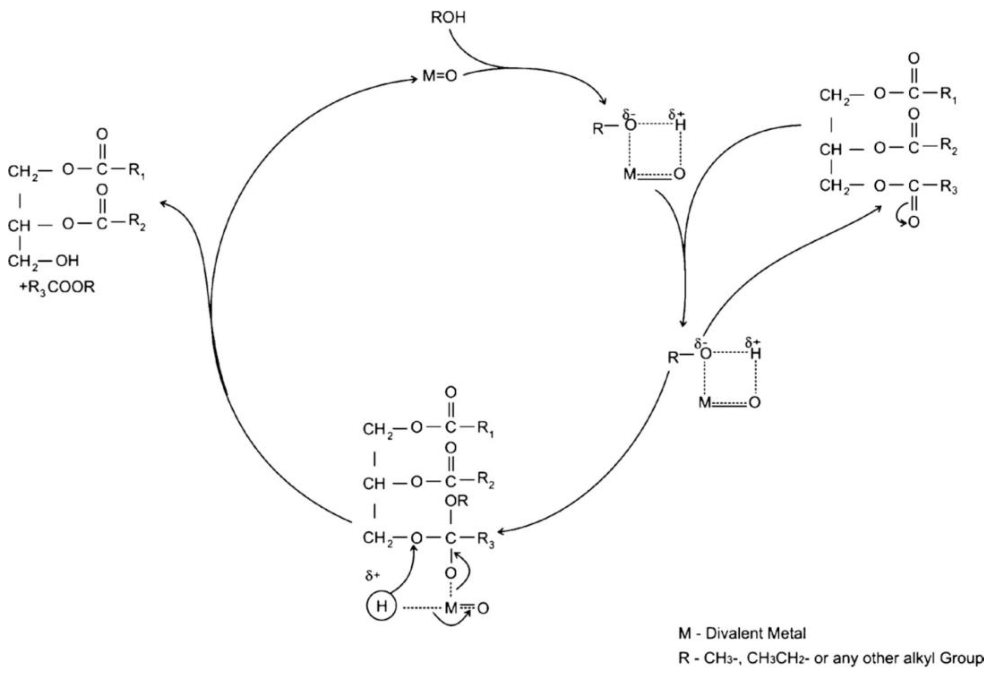 Catalysts 13 00740 g007