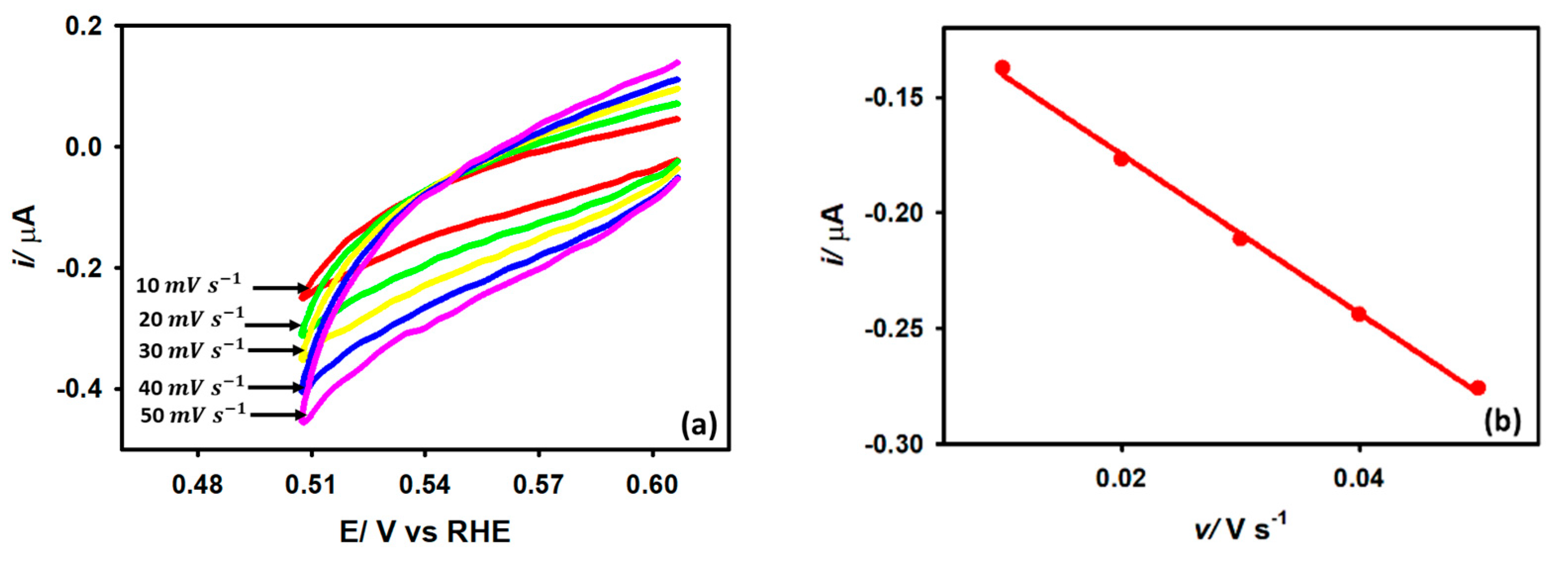 Catalysts 13 00744 g010