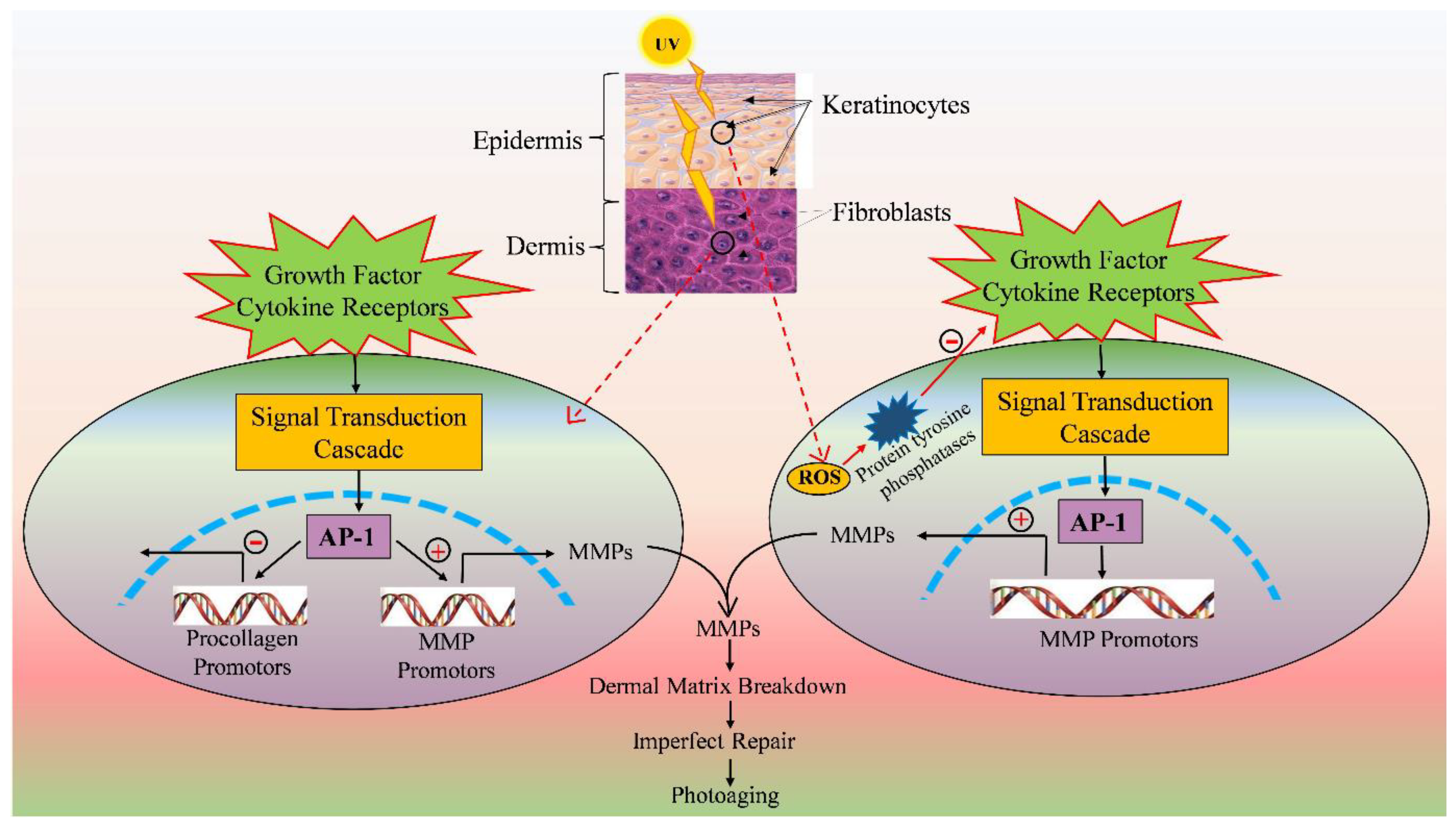 Catalysts 13 00745 g002