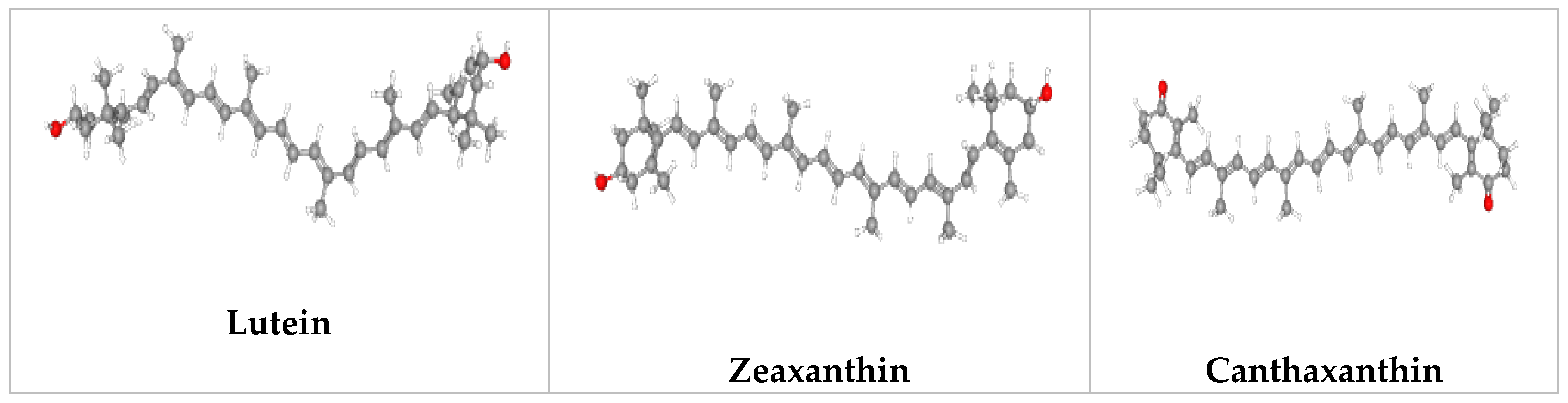 Catalysts 13 00745 g003b