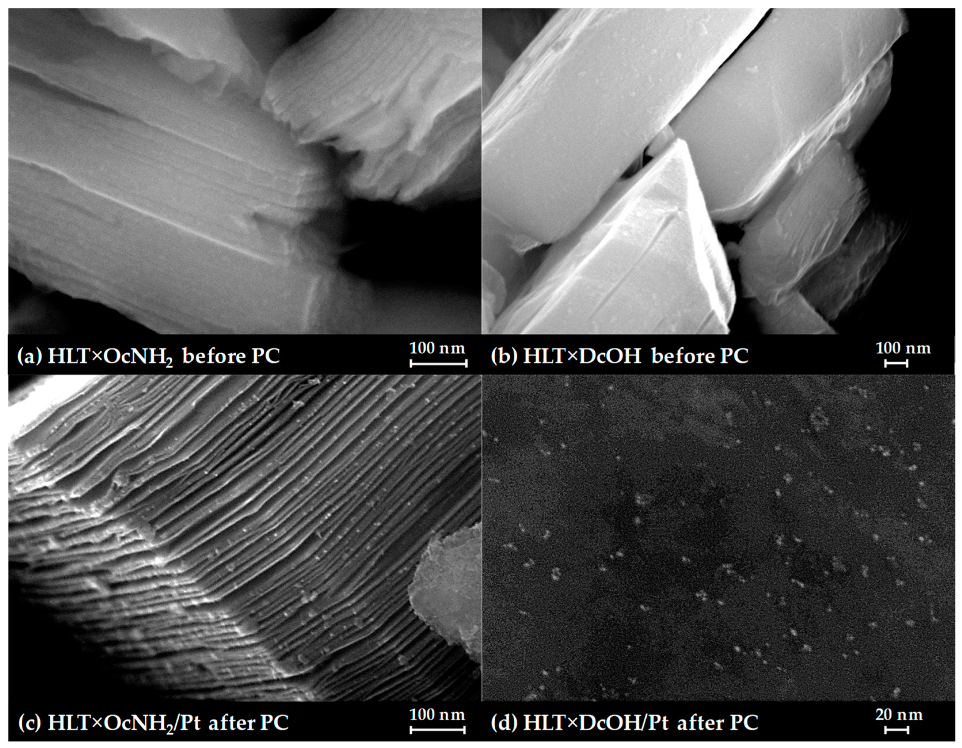 Catalysts 13 00749 g007