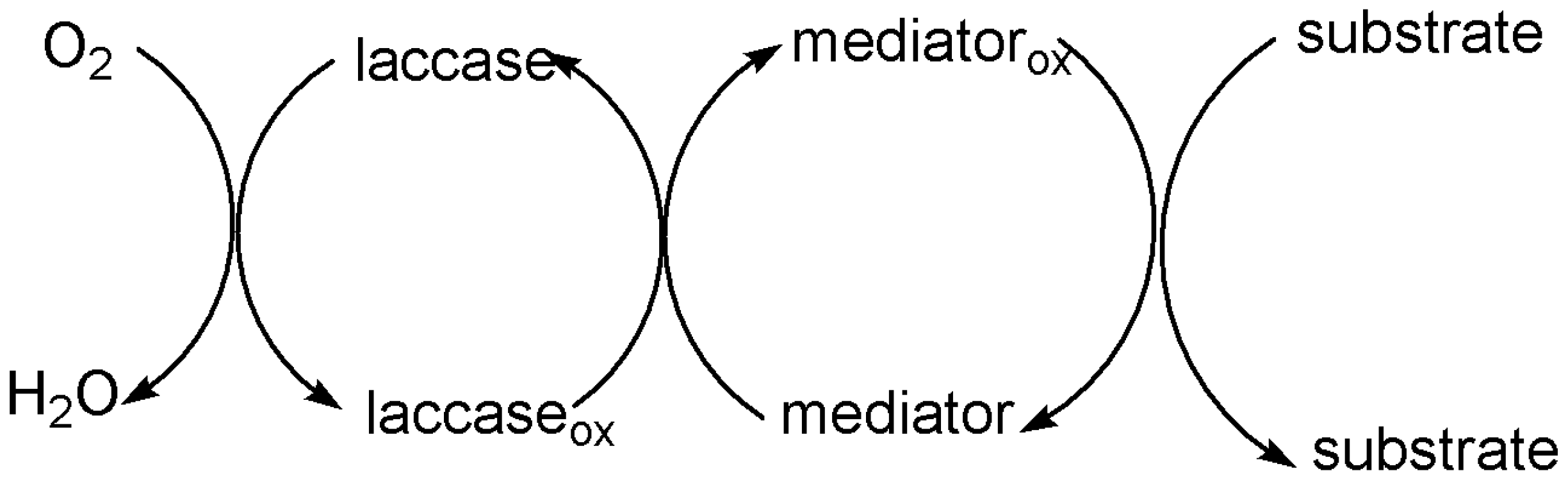 Catalysts 13 00750 g002