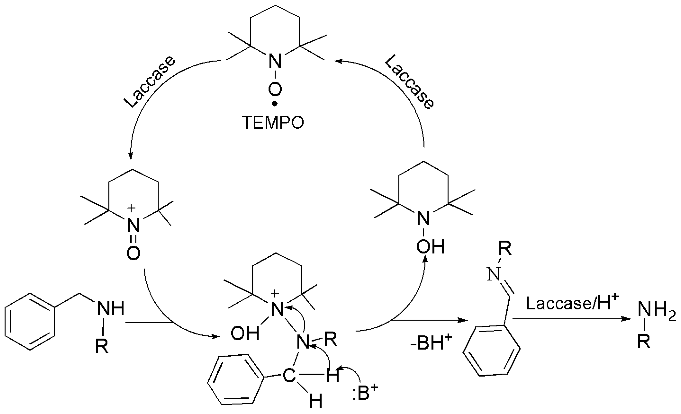 Catalysts 13 00750 g005