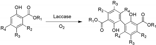 Catalysts 13 00750 i037