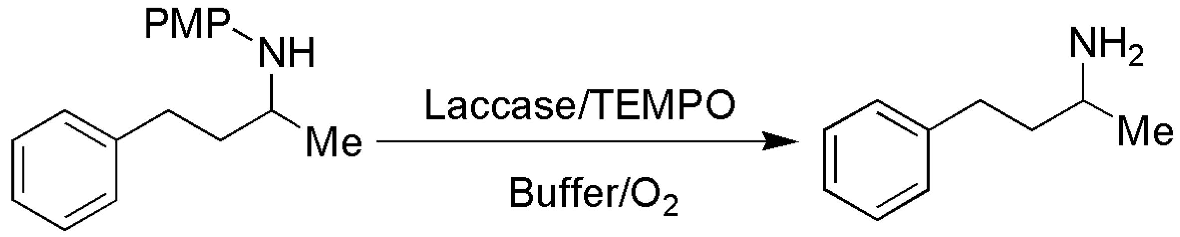 Catalysts 13 00750 sch001