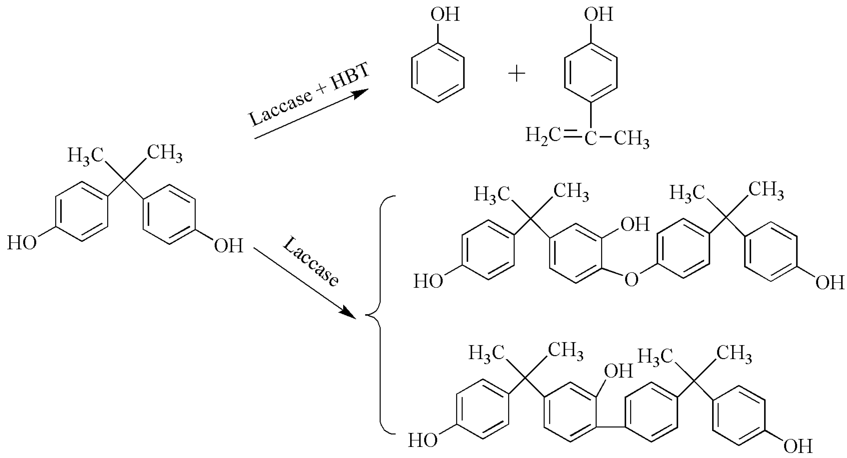 Catalysts 13 00750 sch004