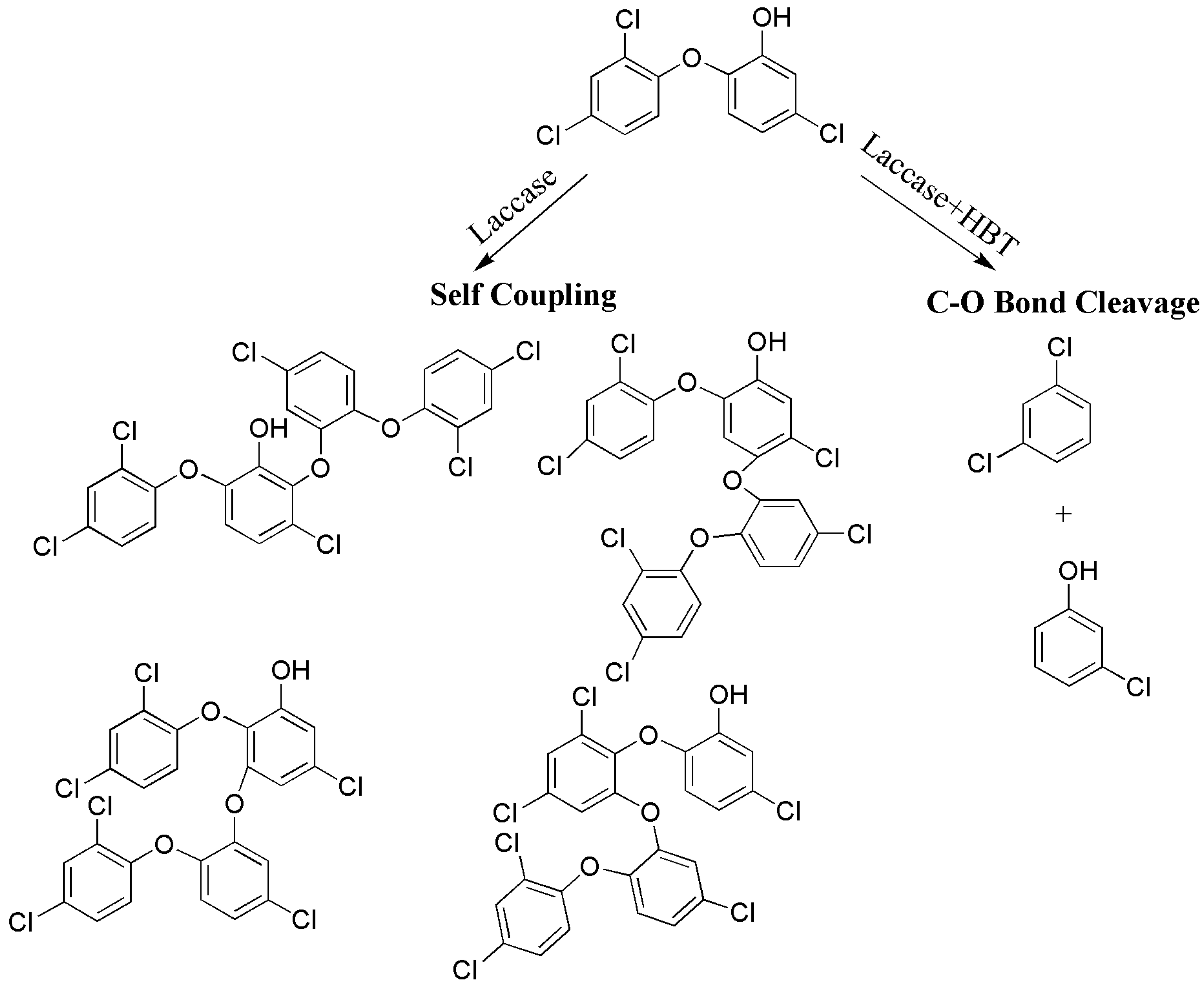 Catalysts 13 00750 sch005