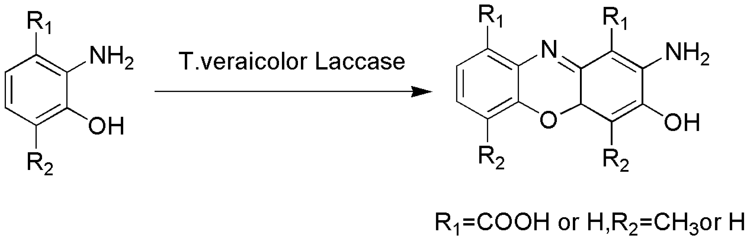 Catalysts 13 00750 sch006