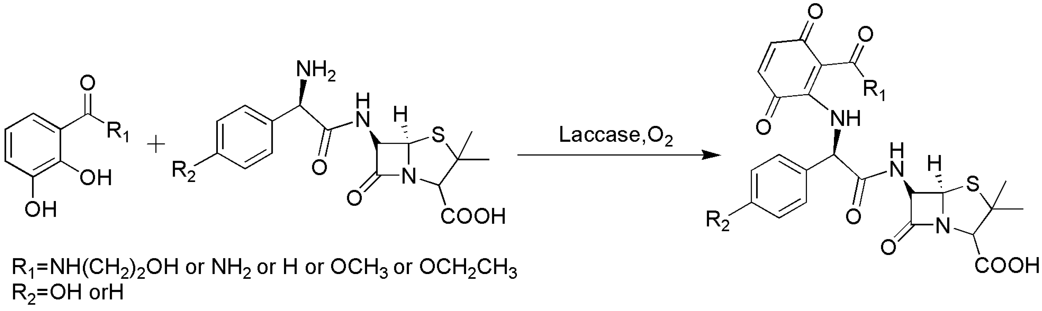 Catalysts 13 00750 sch007