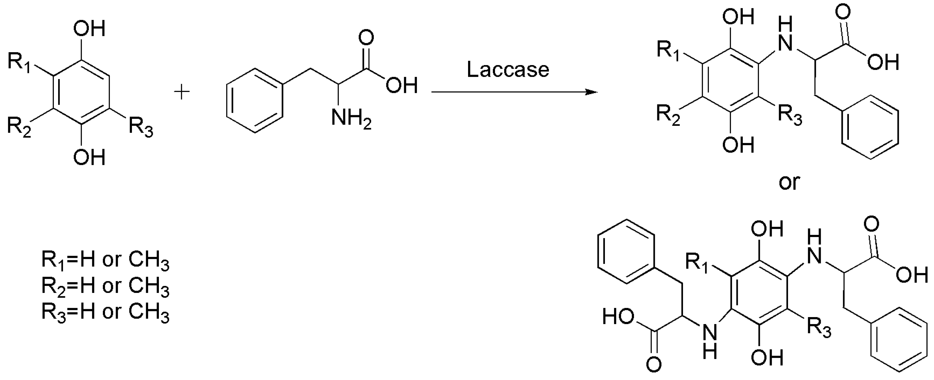 Catalysts 13 00750 sch008