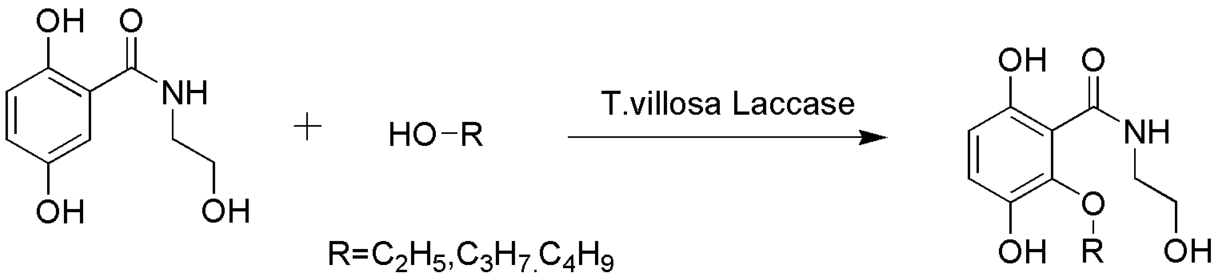 Catalysts 13 00750 sch010