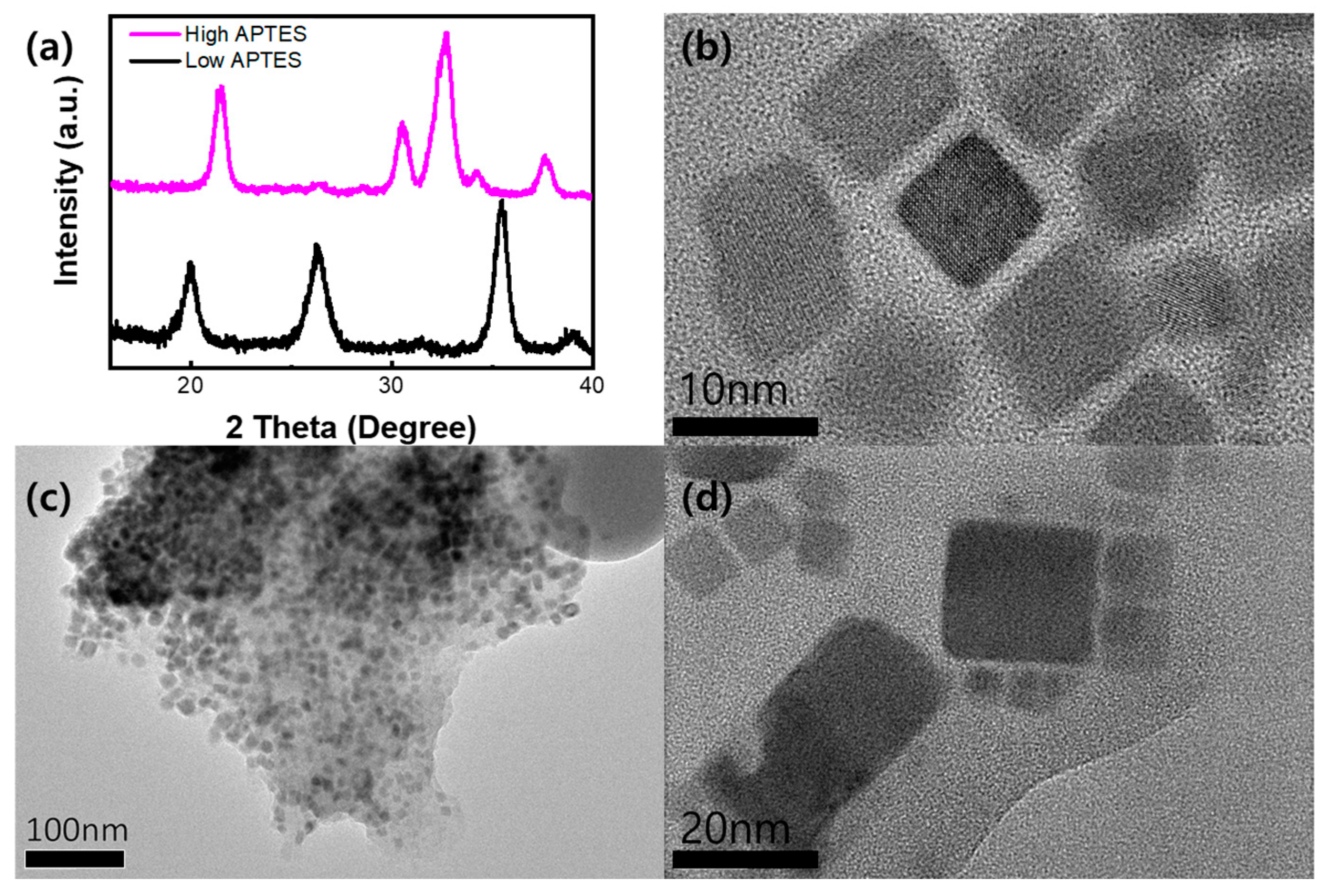 Catalysts 13 00752 g001