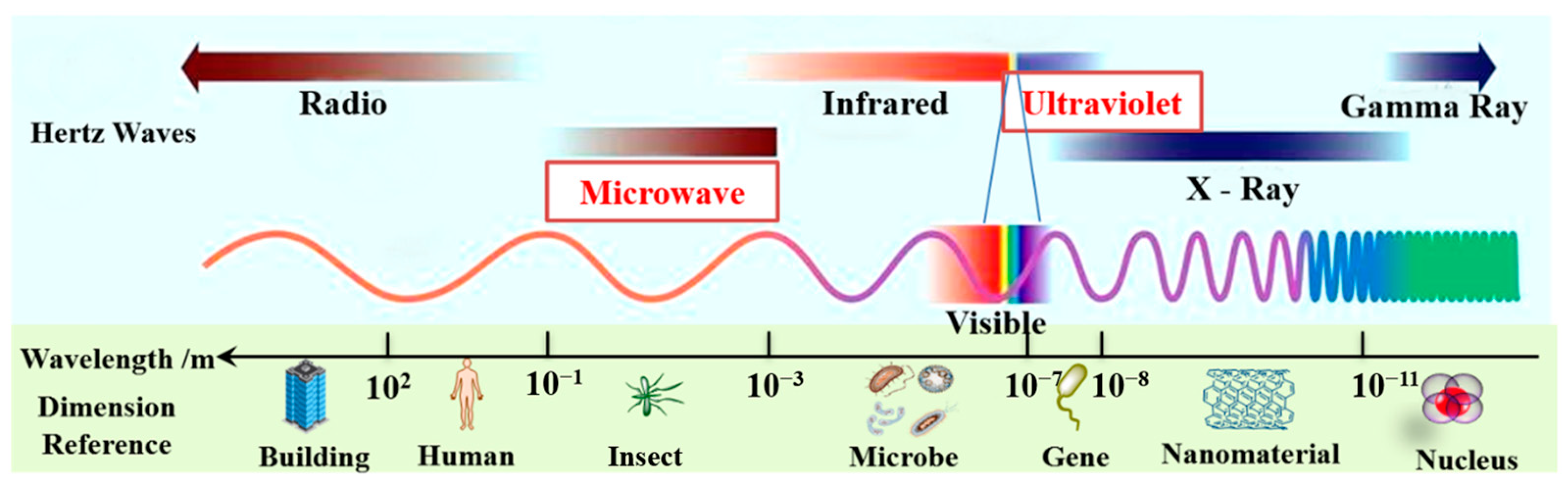Catalysts 13 00754 g001