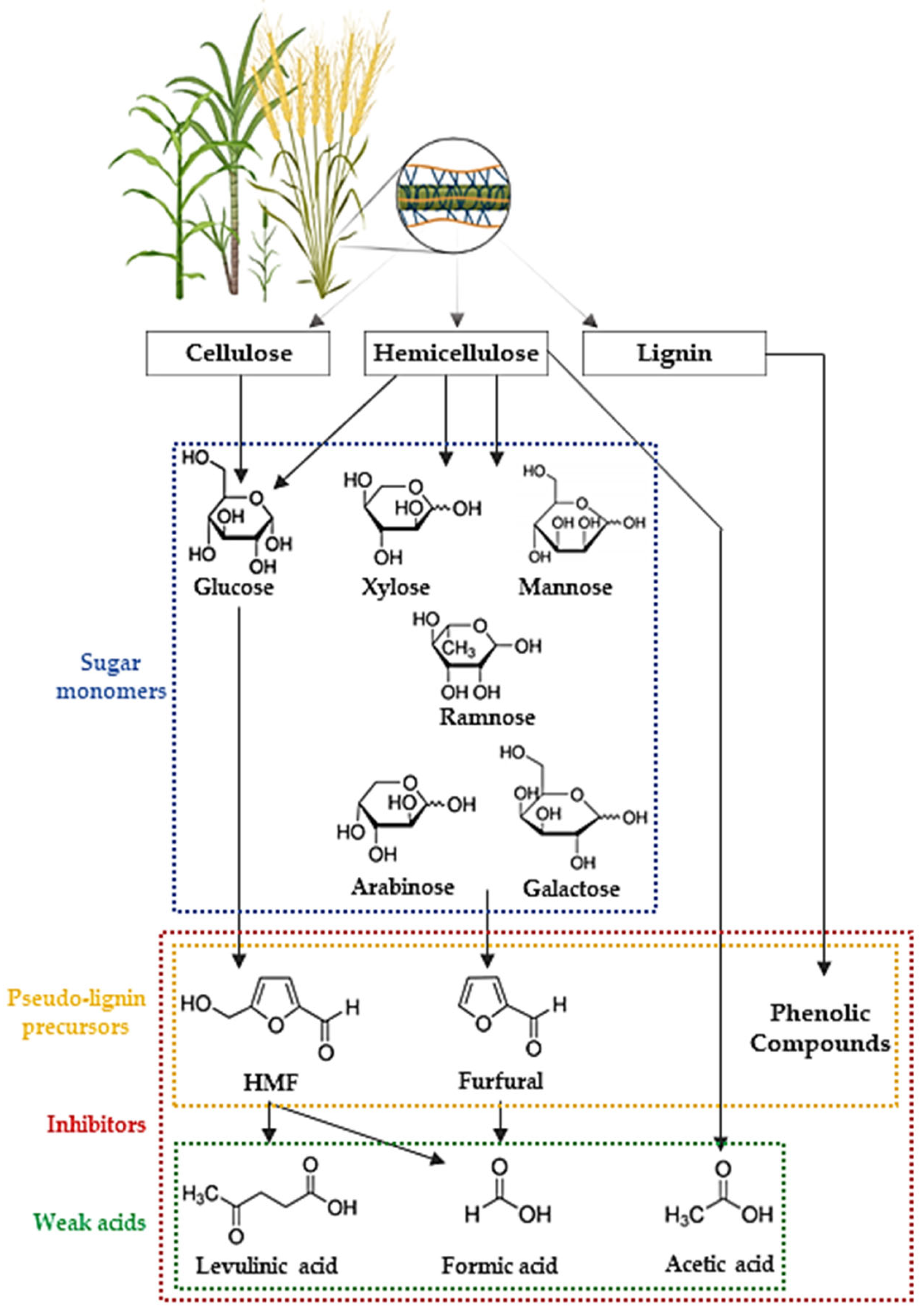 Catalysts 13 00755 g002