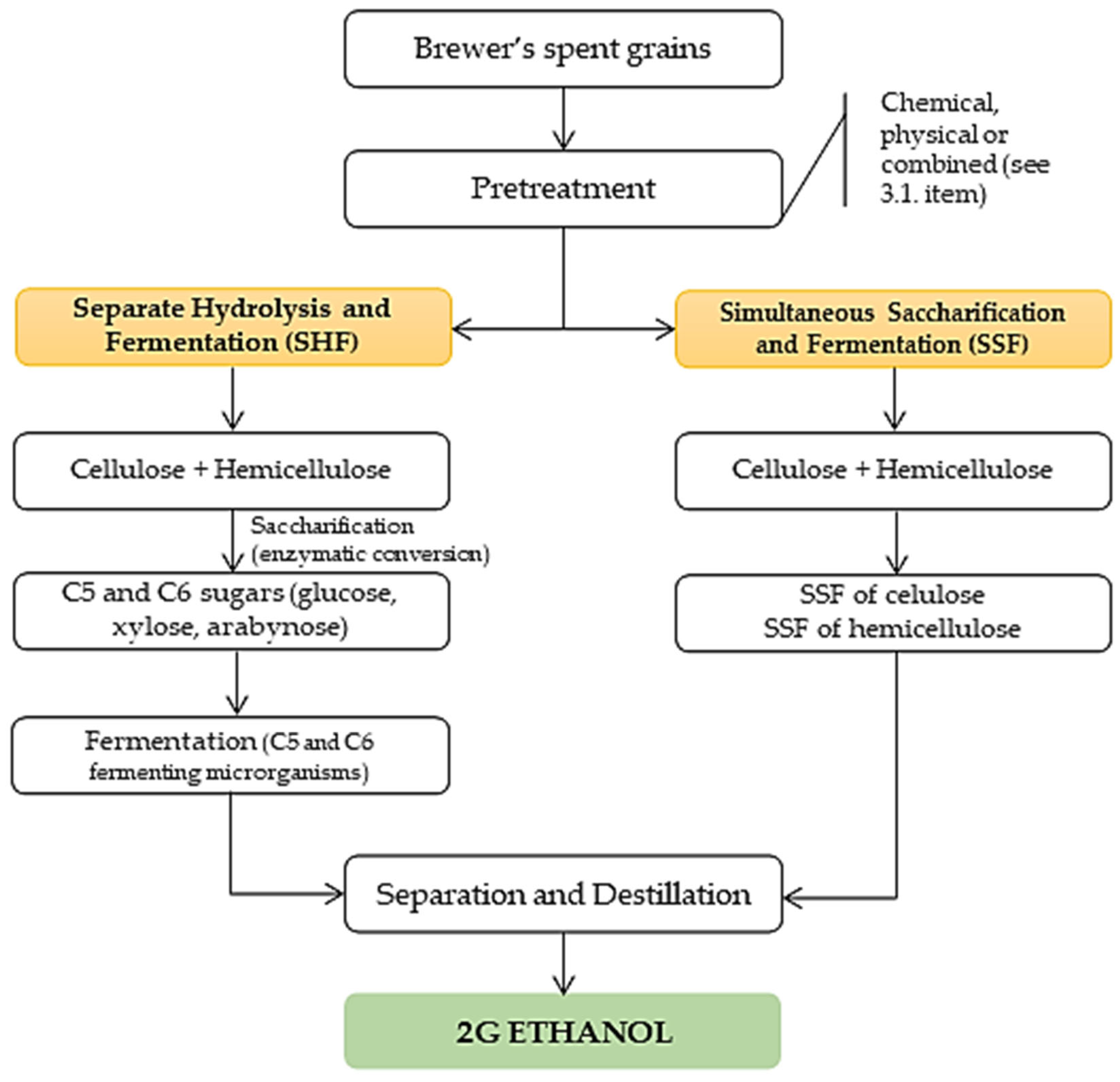 Catalysts 13 00755 g005