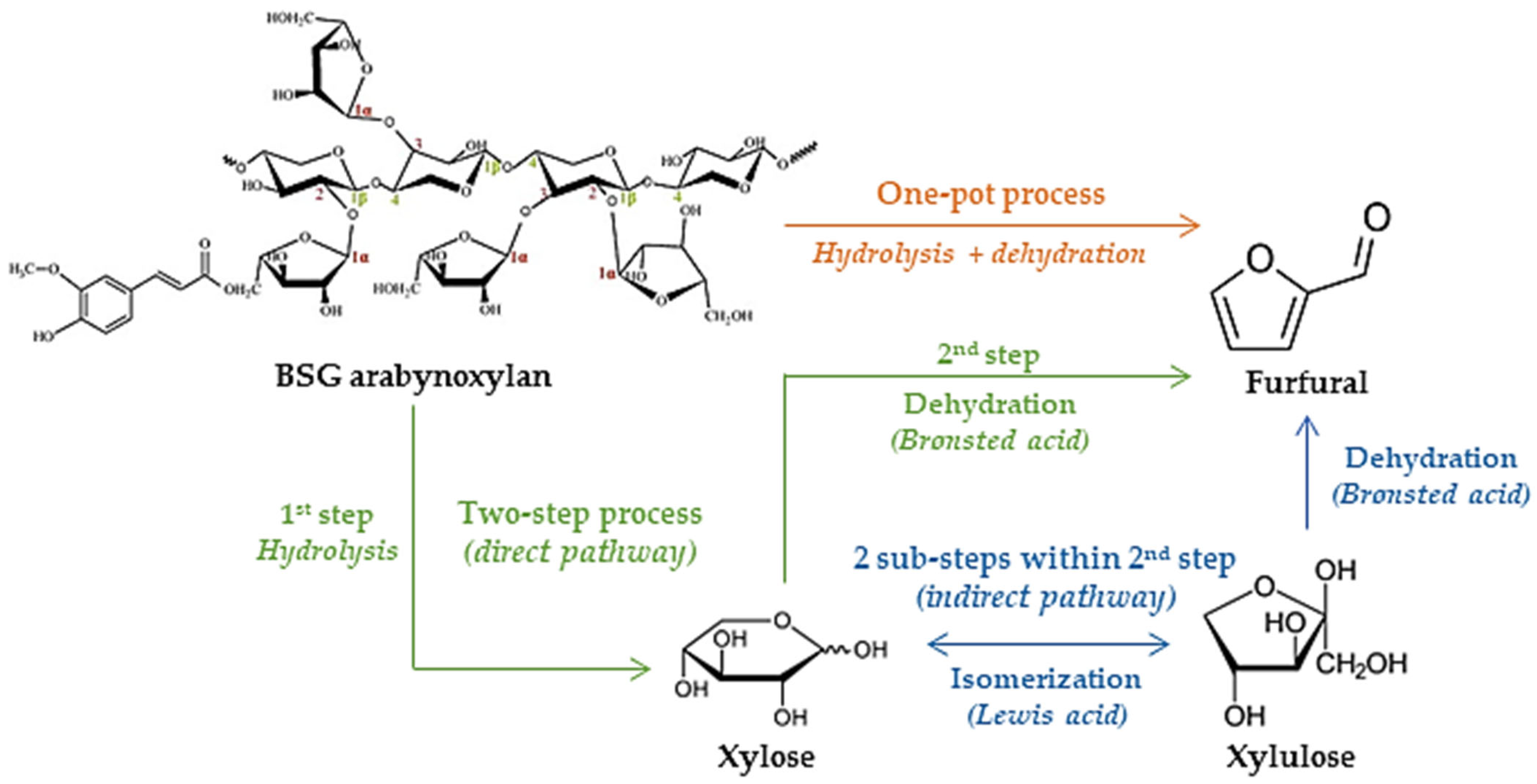 Catalysts 13 00755 g006