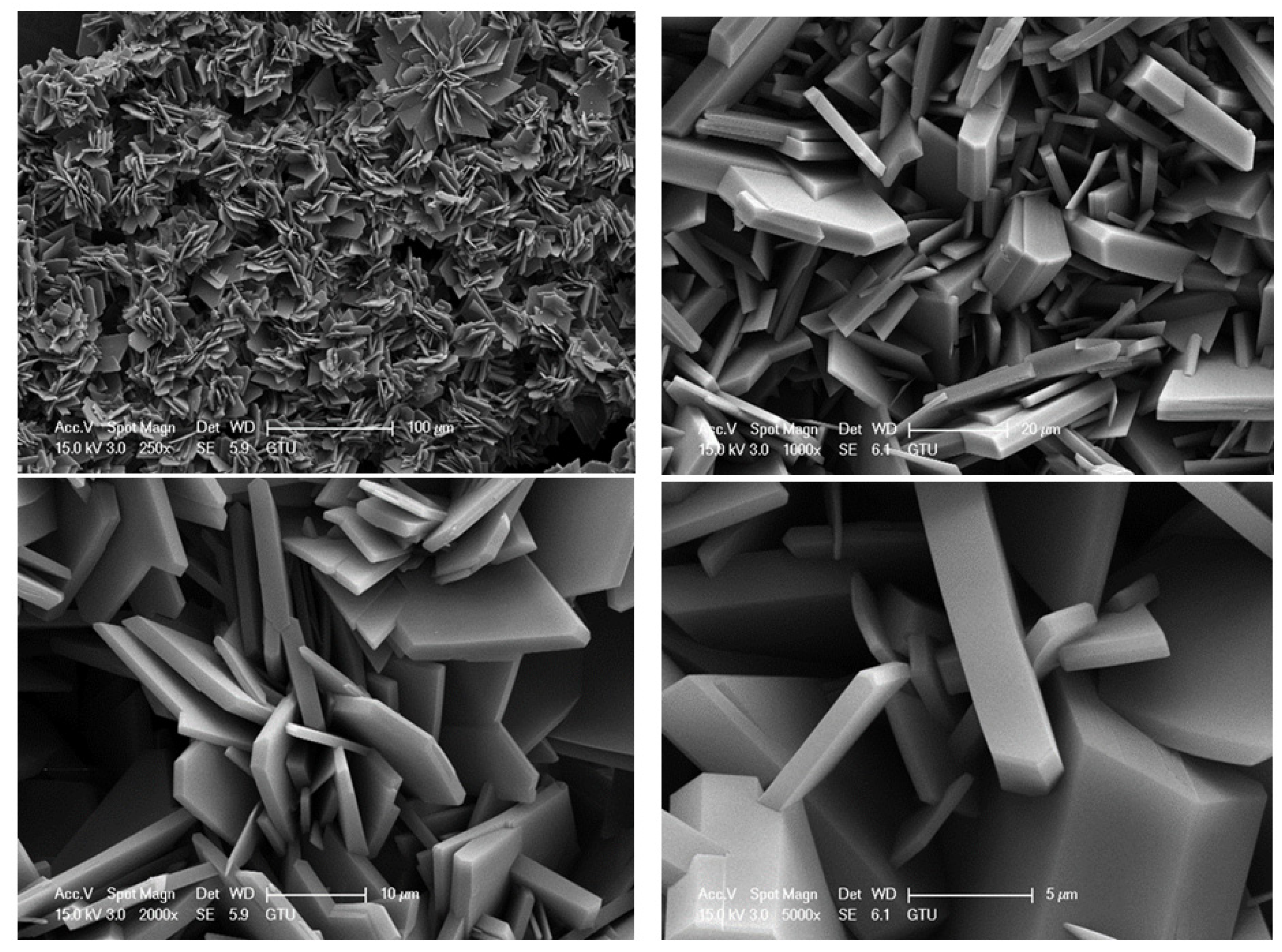 Catalysts 13 00756 g002