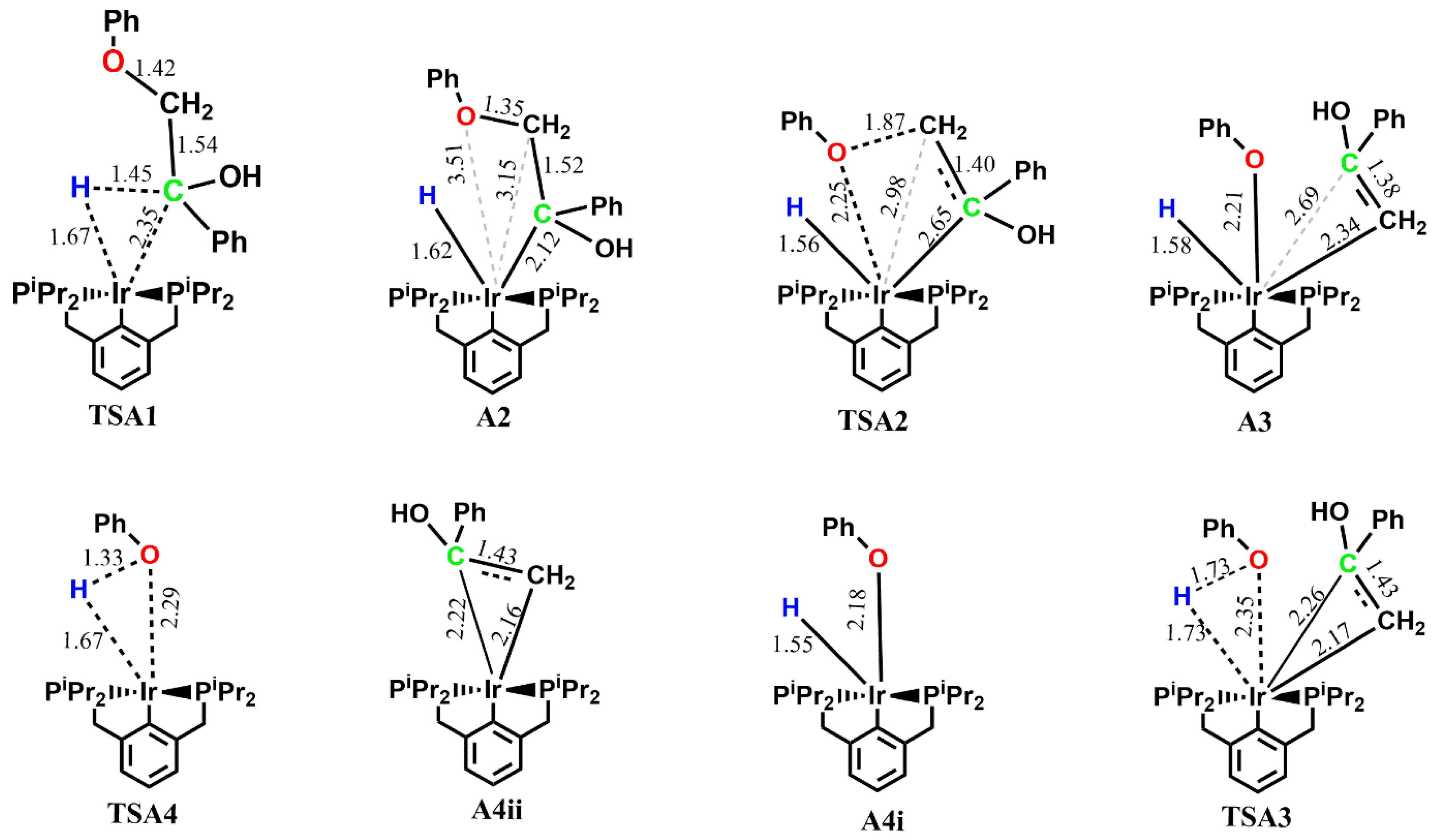 Catalysts 13 00757 g001