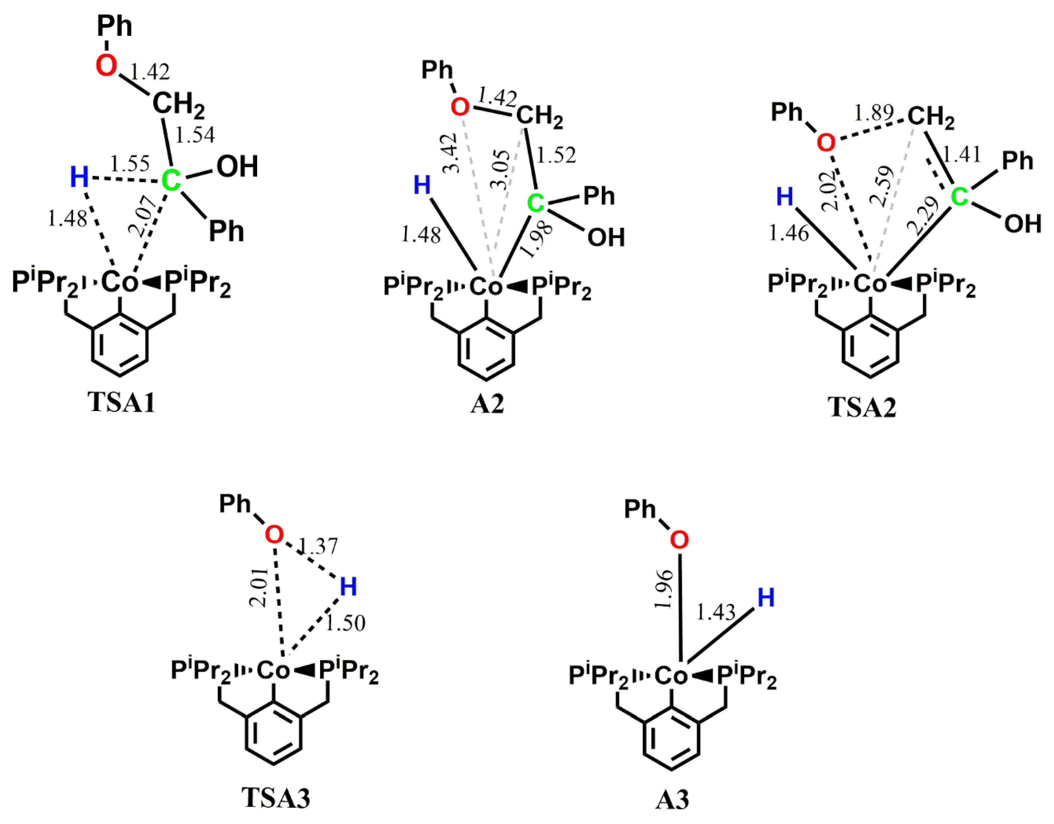 Catalysts 13 00757 g007