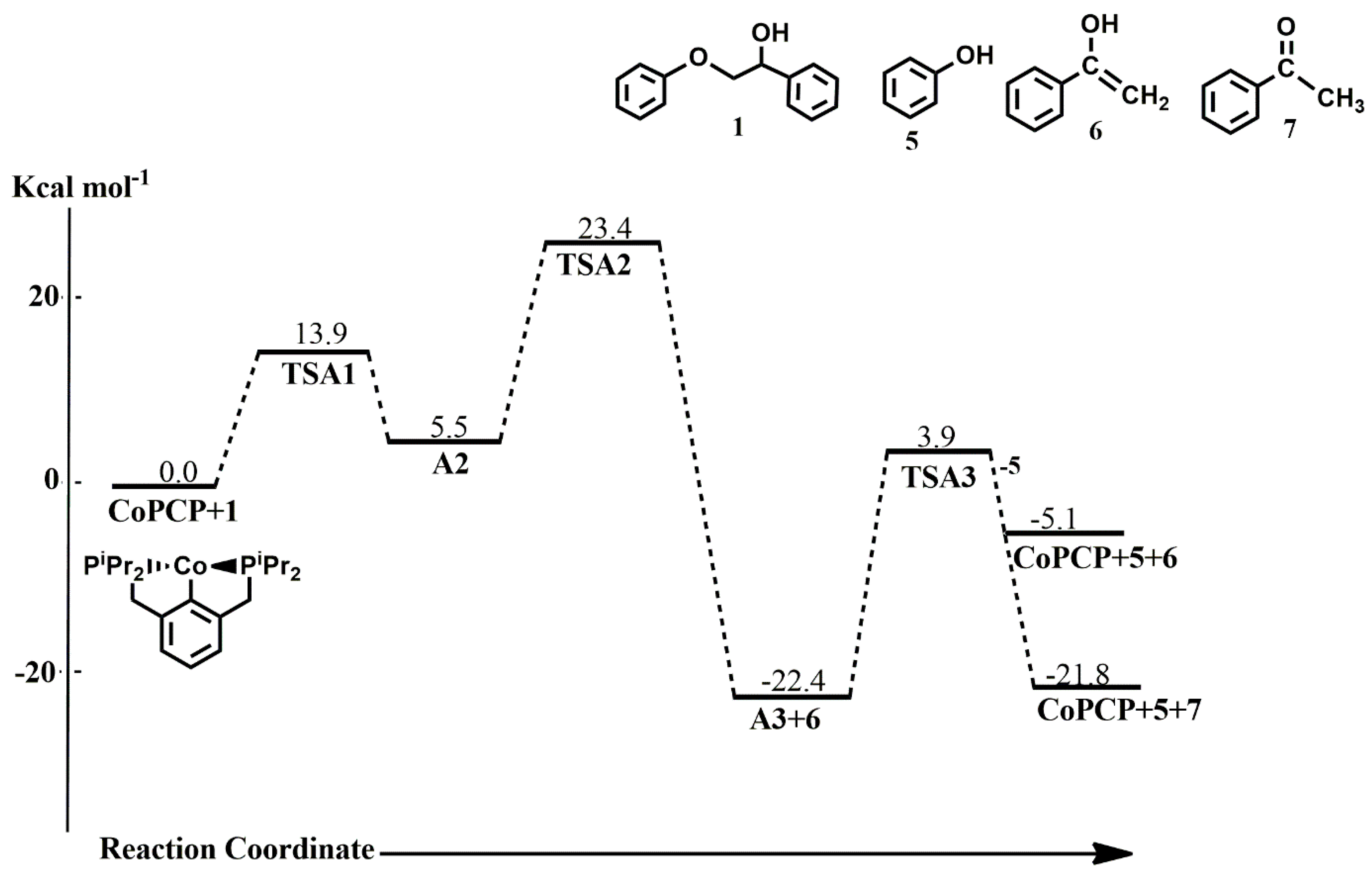 Catalysts 13 00757 g008
