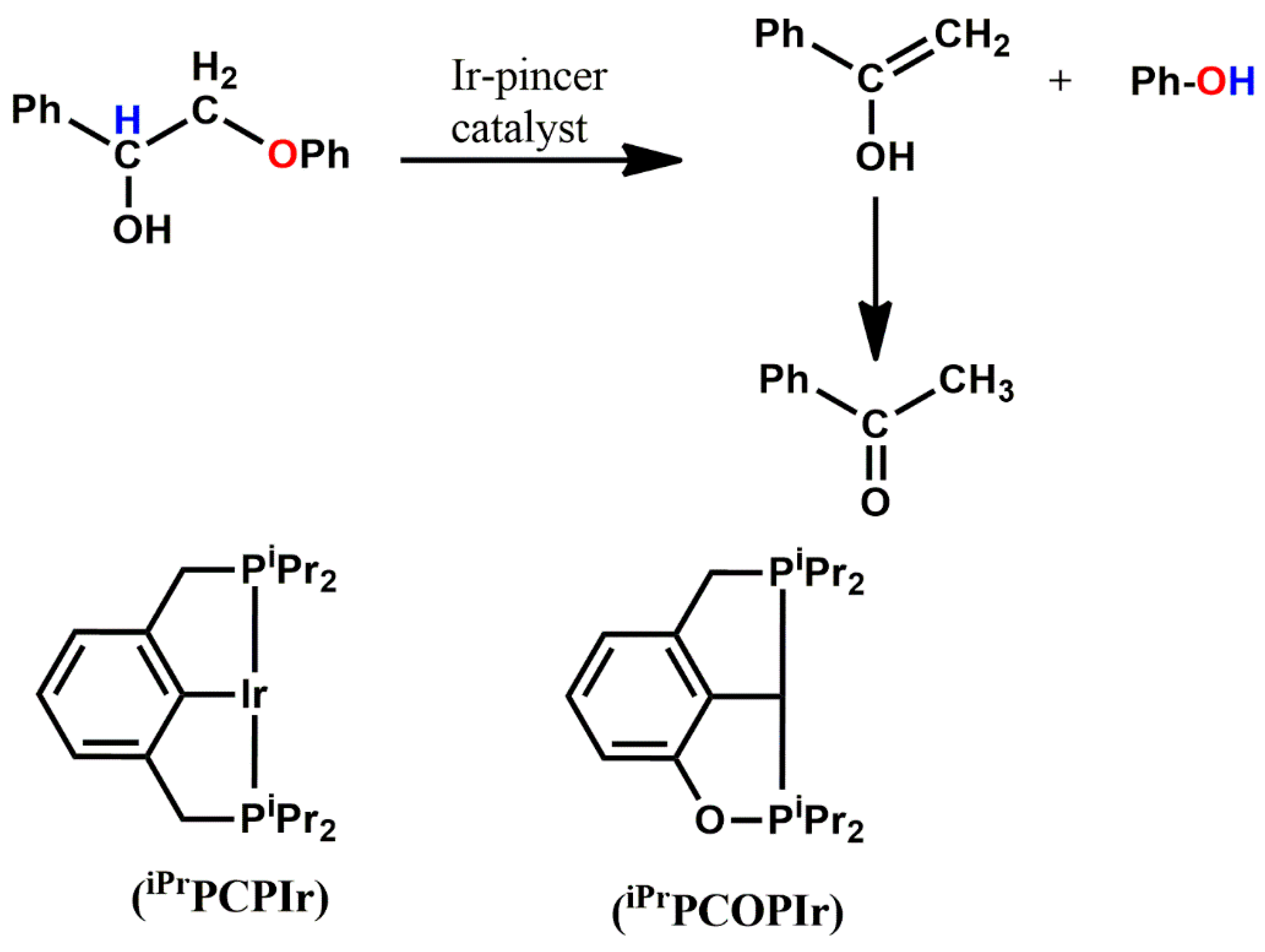 Catalysts 13 00757 sch003