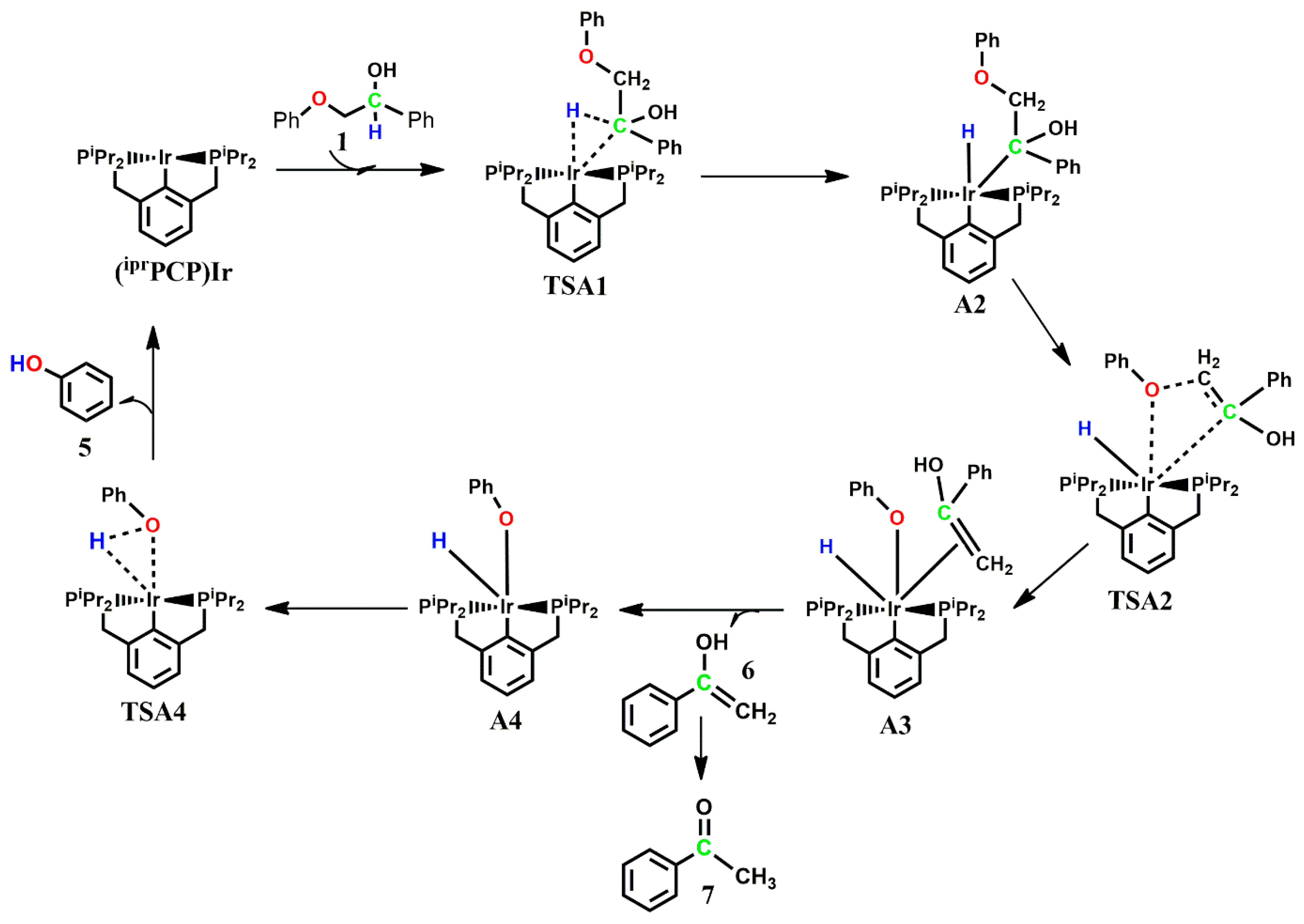 Catalysts 13 00757 sch004